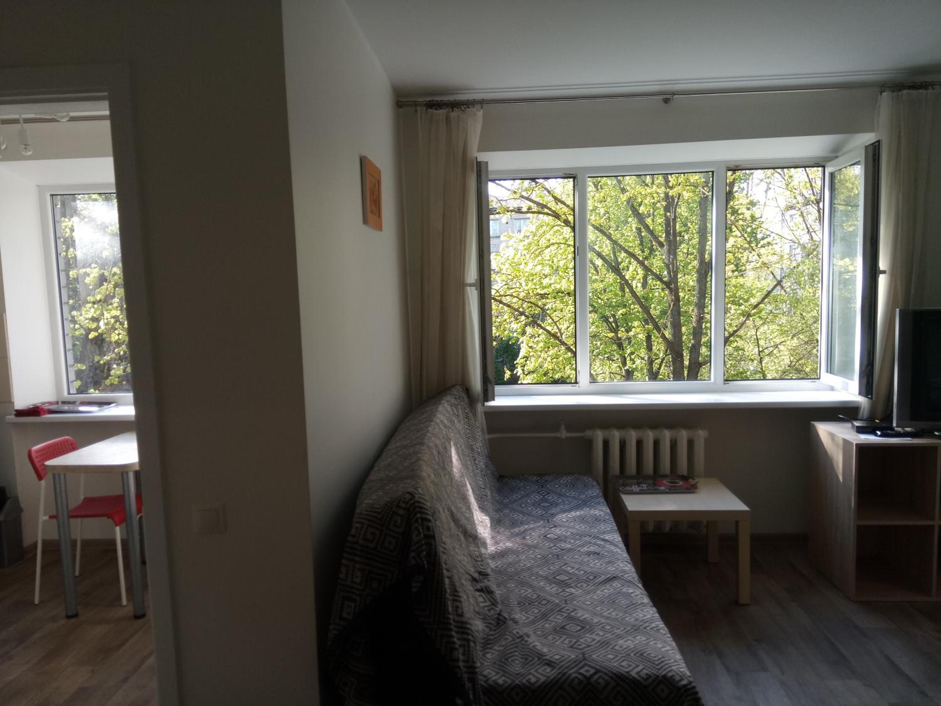 One-Bedroom Apartment - Photo 4