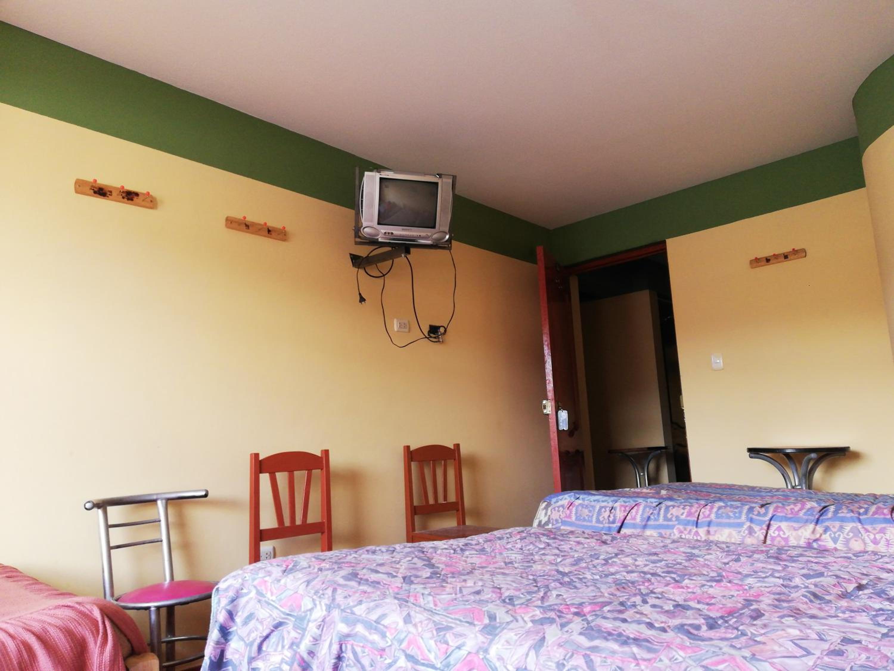 Twin Room photo 2