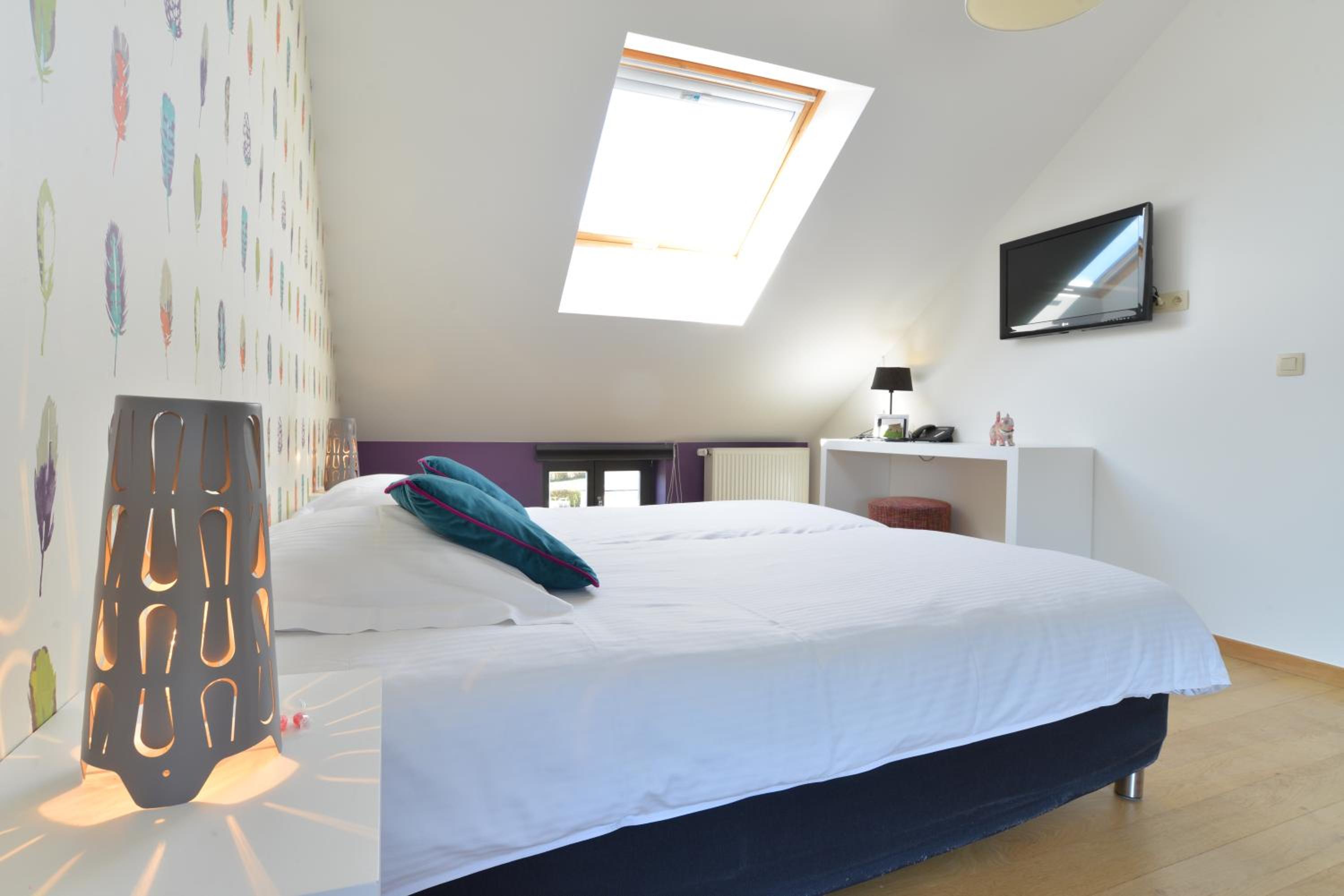 Suite - Photo 1