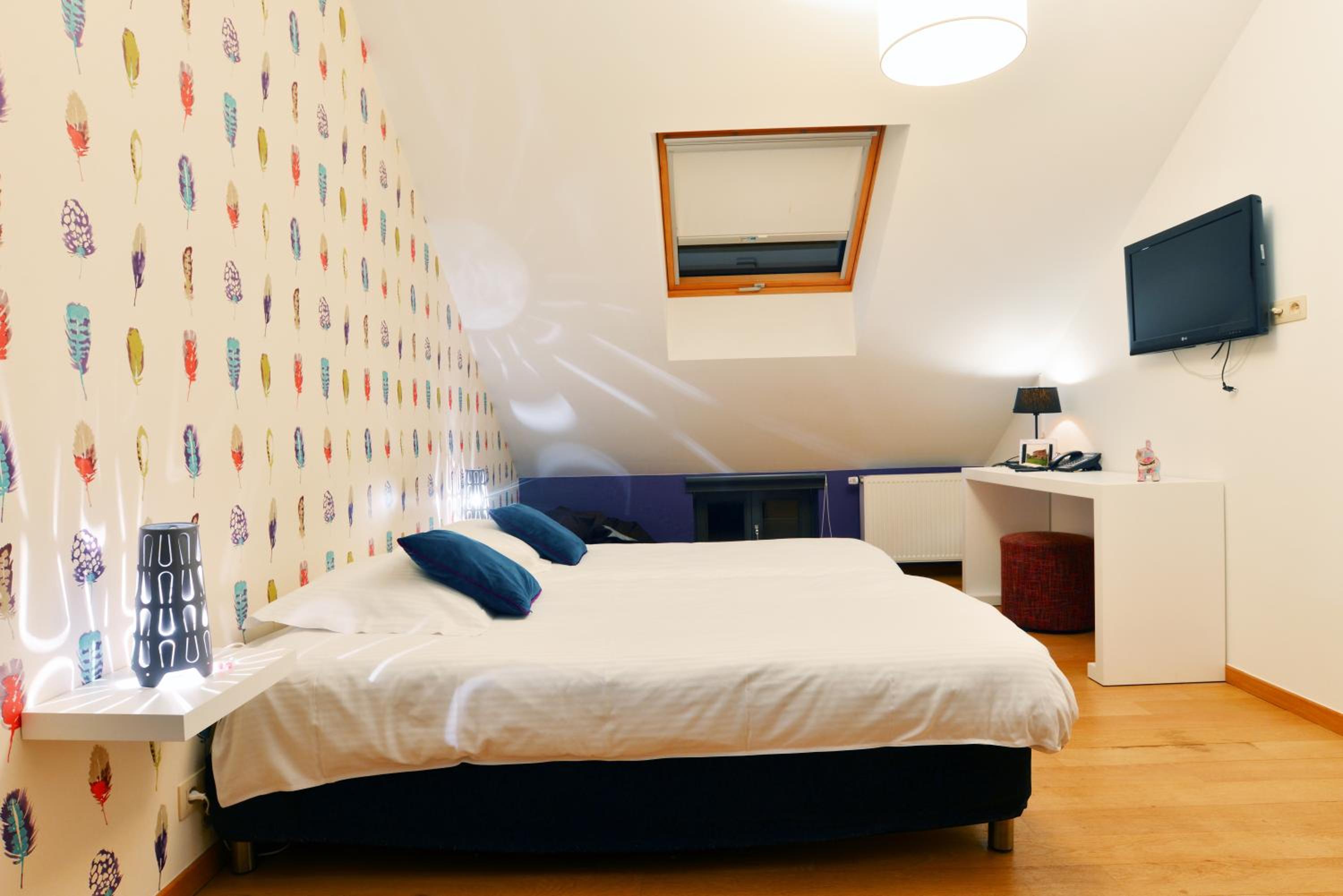 Suite - Photo 5