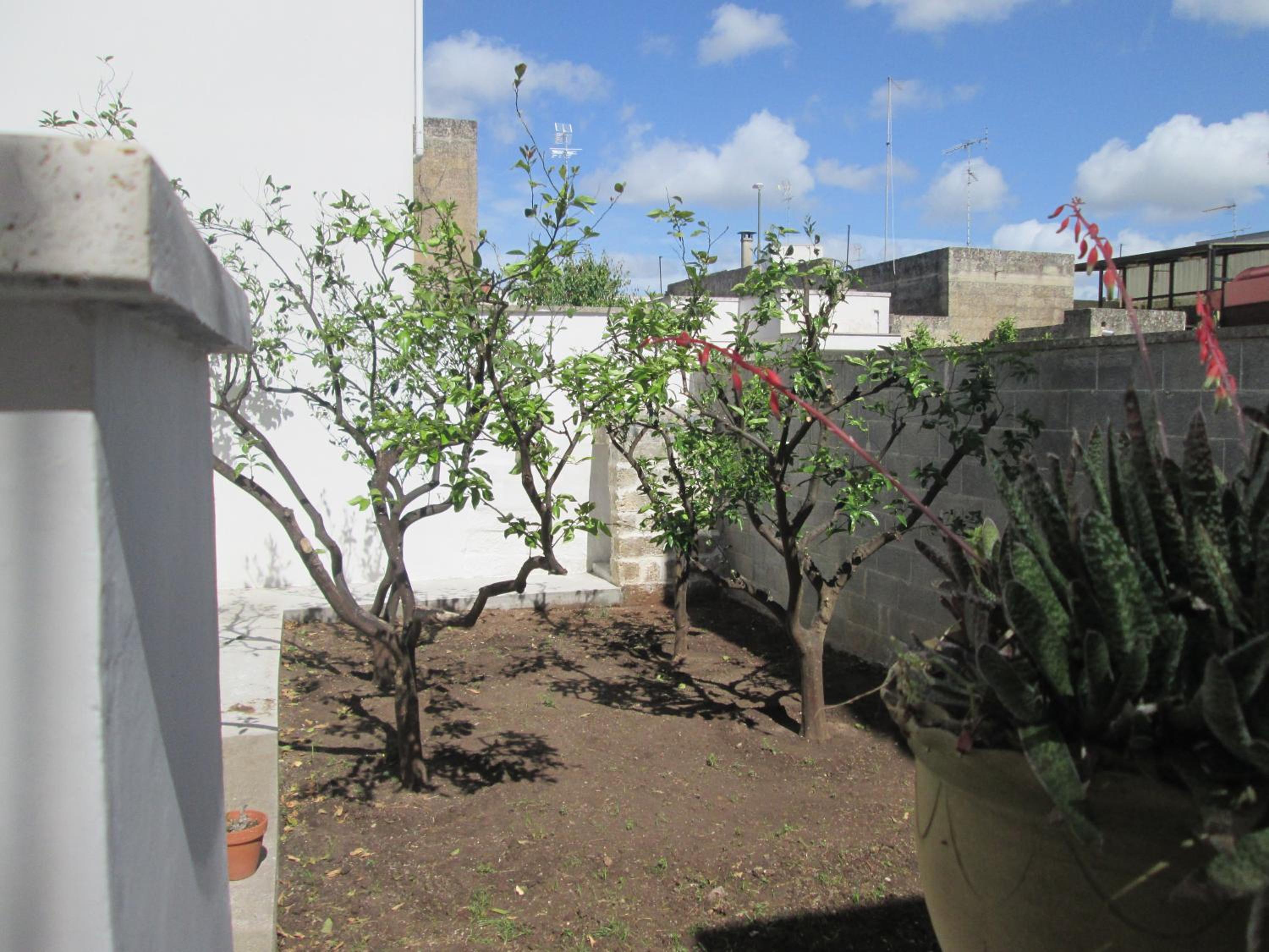 Superior Apartment - Photo 29
