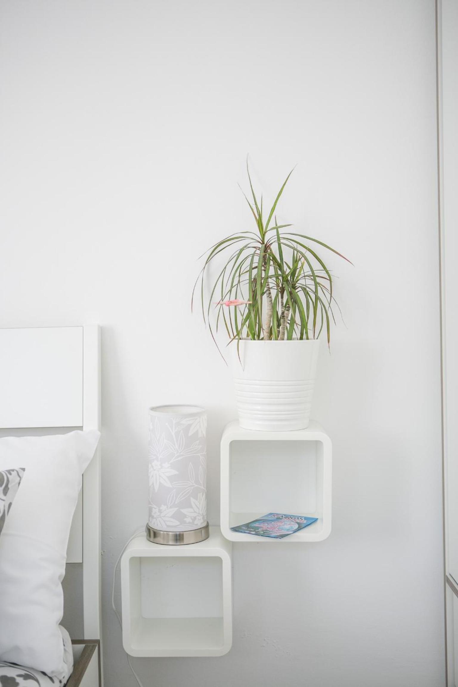 Studio Apartment - Photo 5