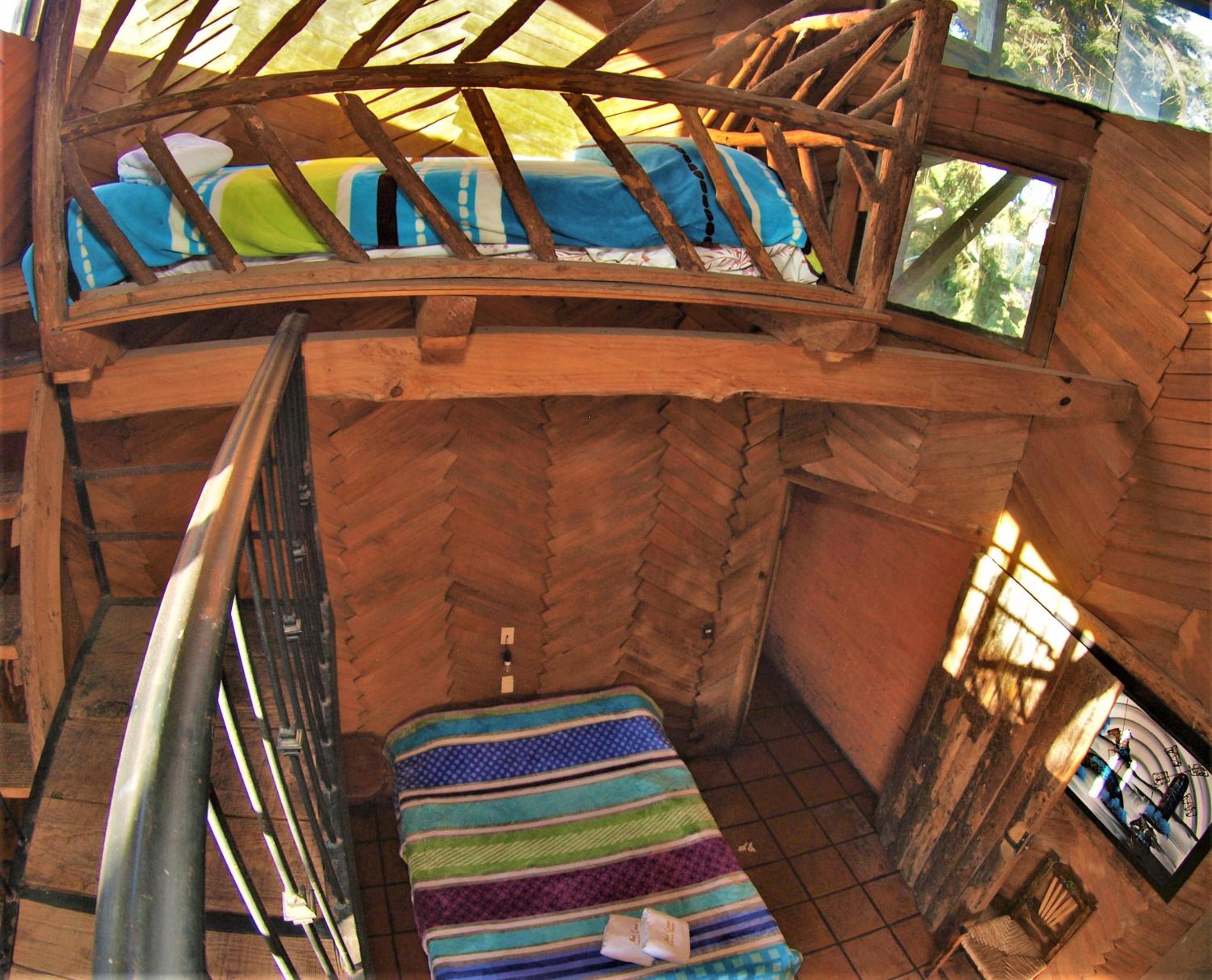Family Room with Garden View - Photo 5