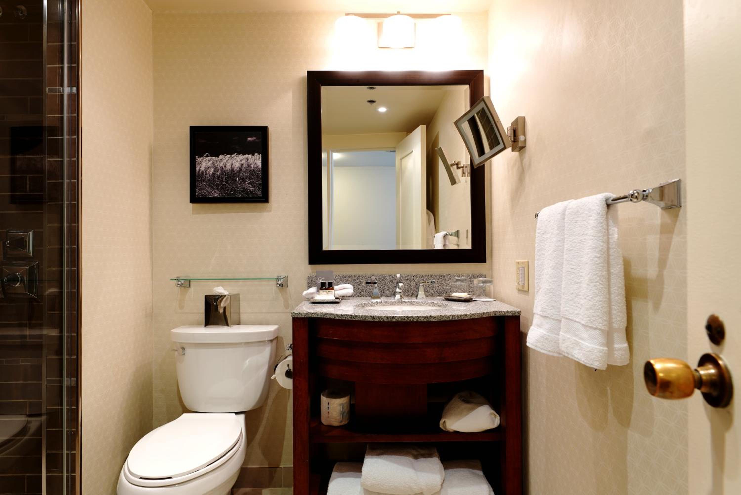 Fairmont King Room with City View photo 3