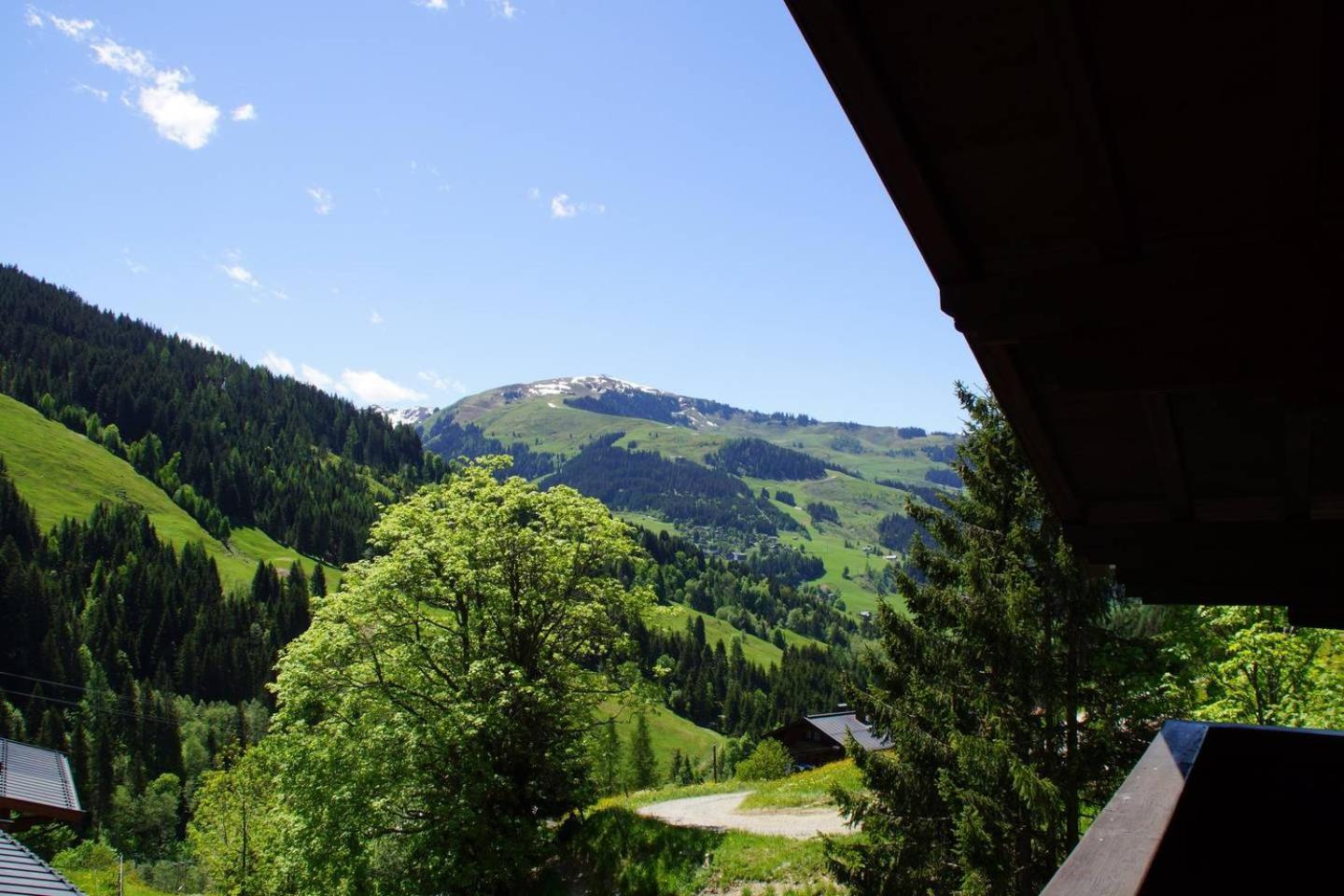 Vacation Home photo 3