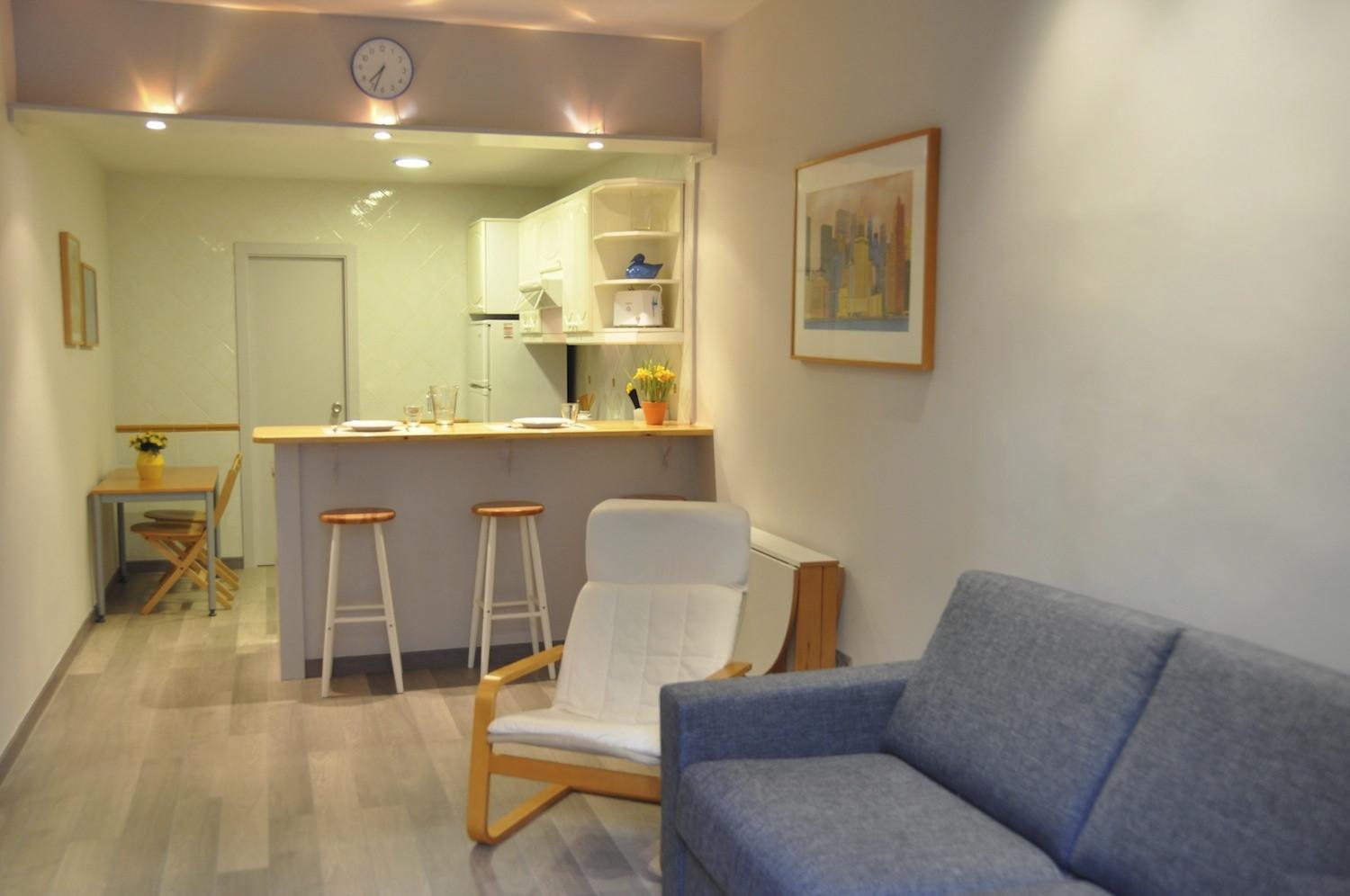 Apartamento de una habitación 3