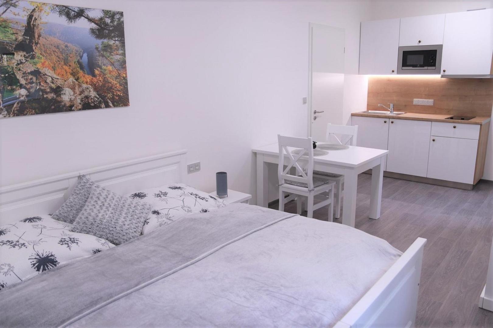 Deluxe Apartment - Photo 10