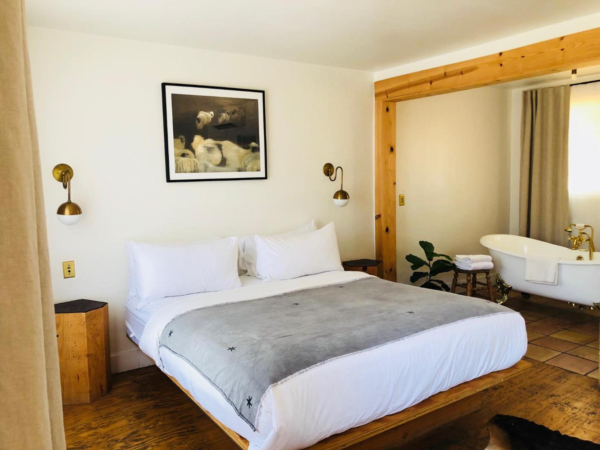 Superior King Room photo 1
