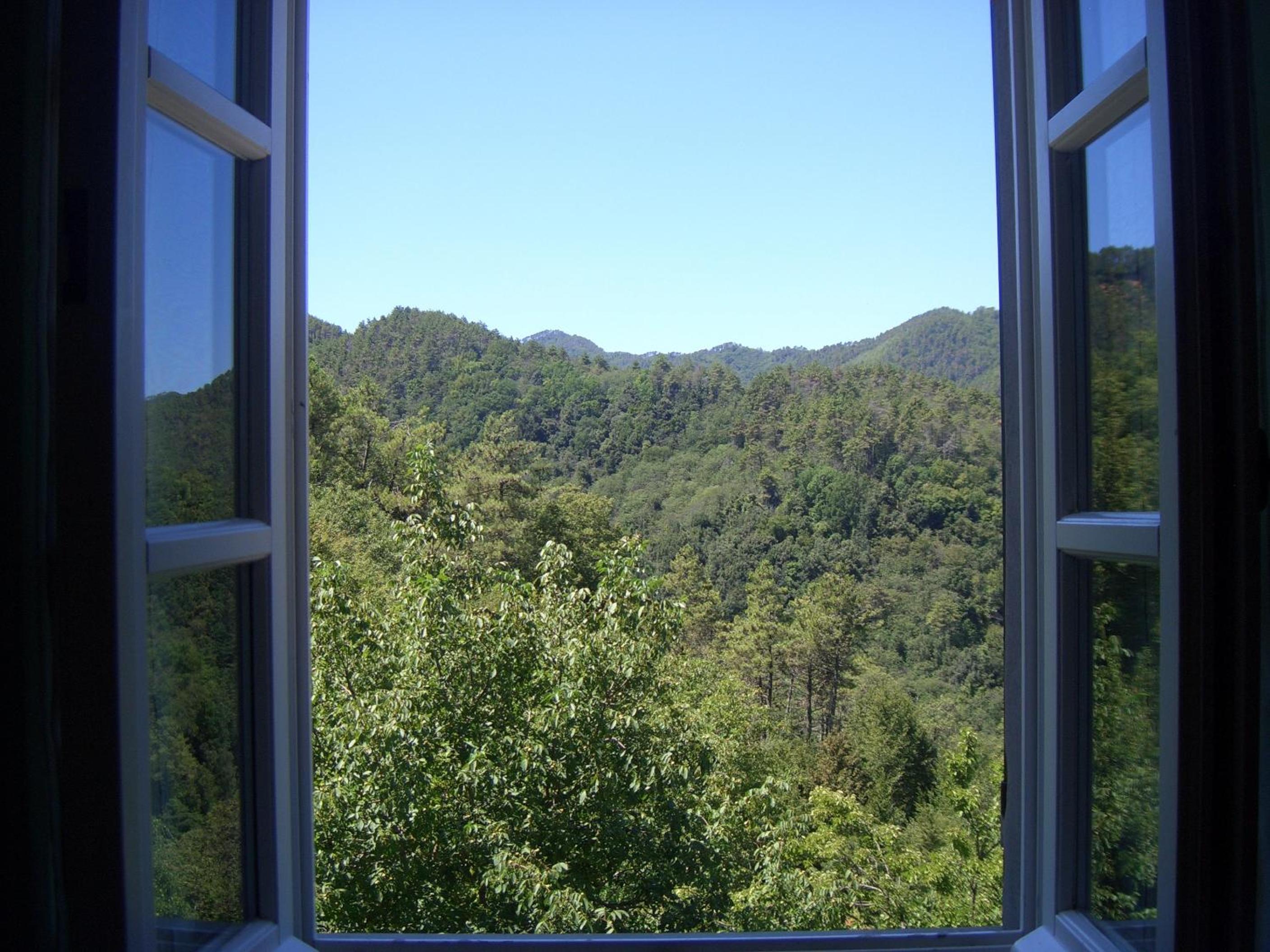 Double Room - Annex photo 3