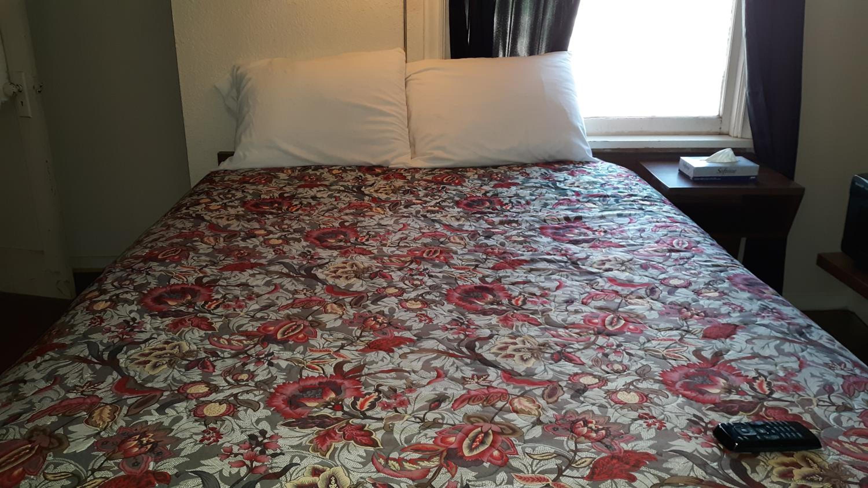 Standard Queen Room photo 1
