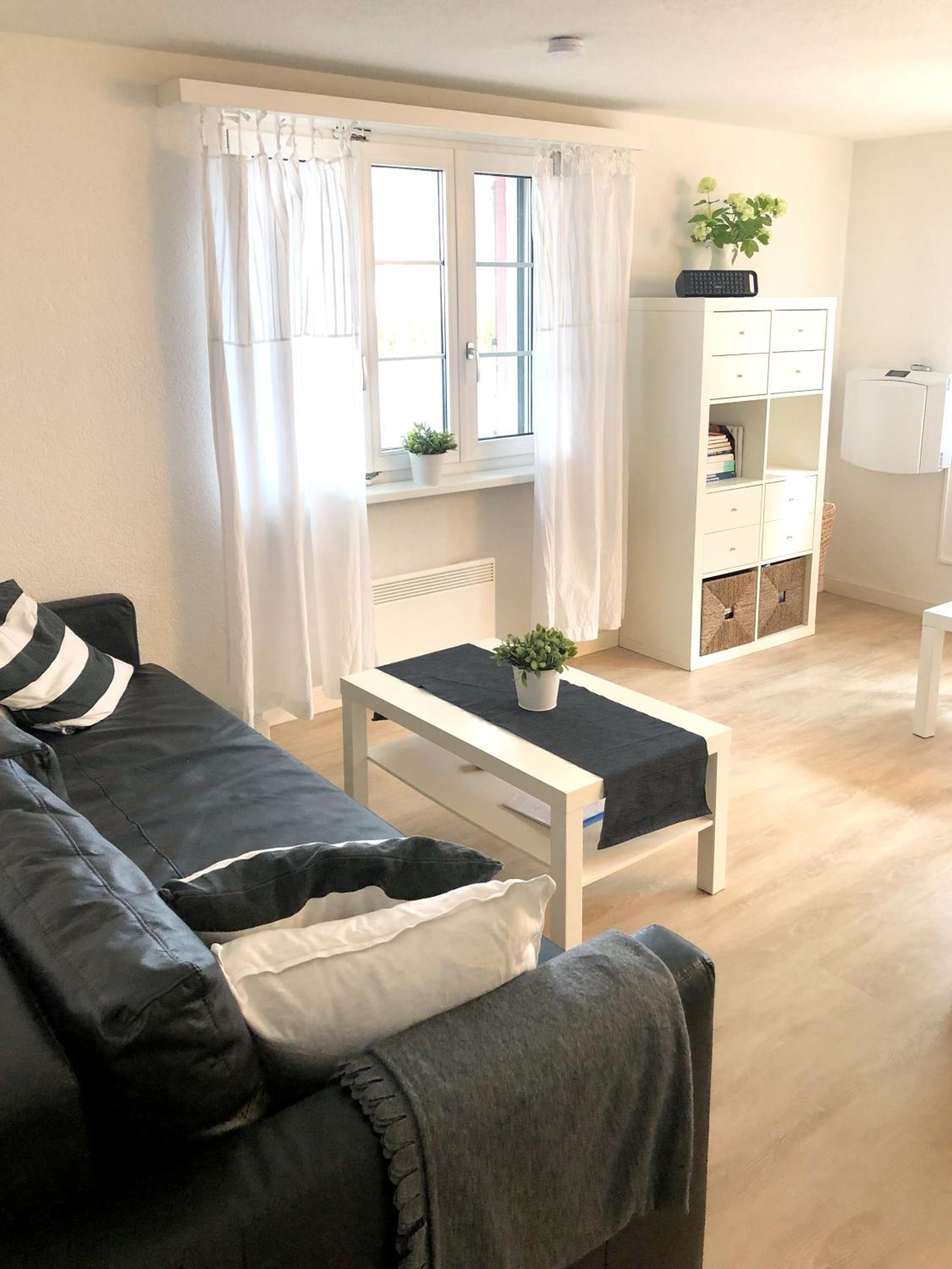 One-Bedroom Apartment photo 3
