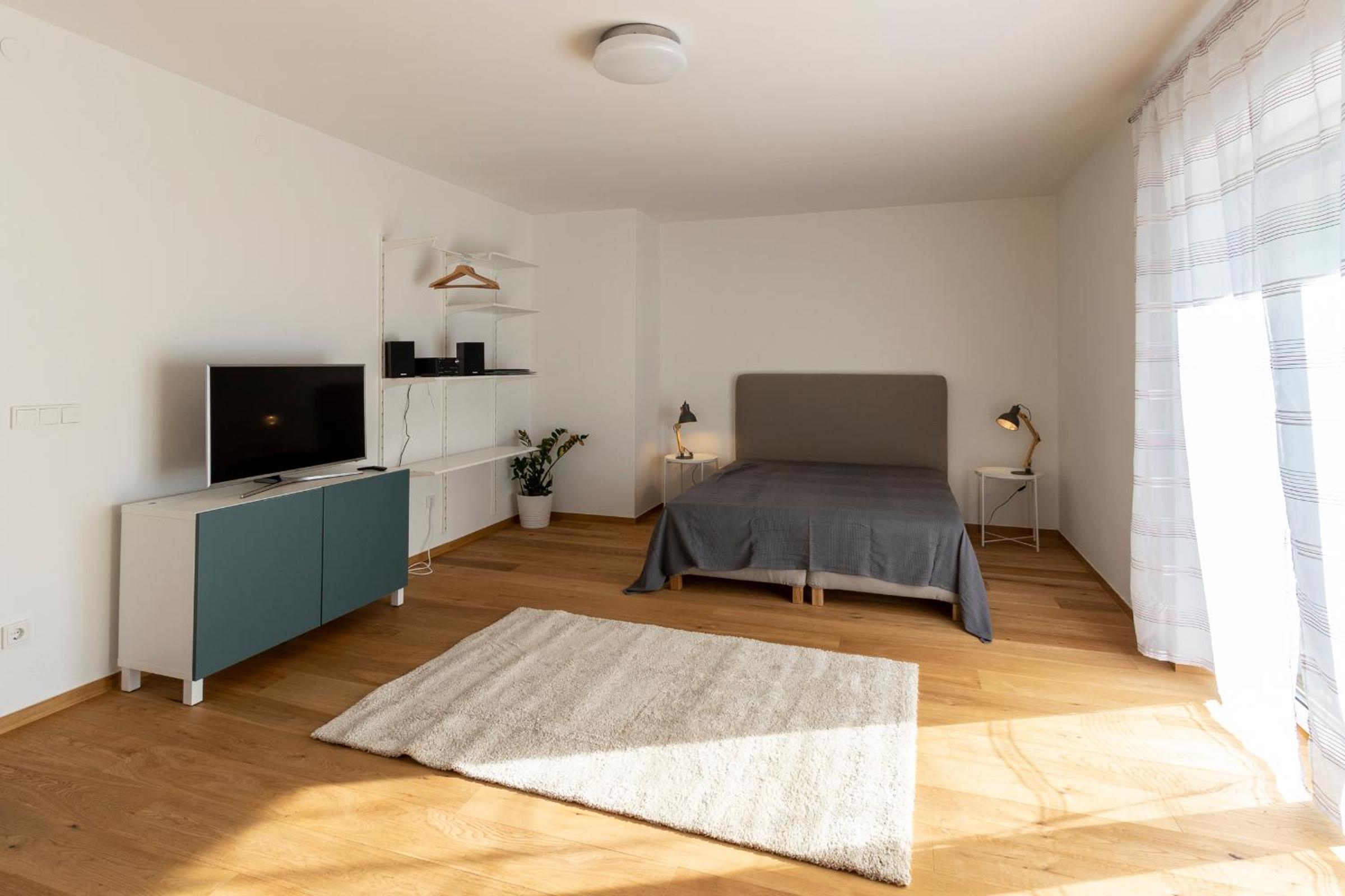 Studio Apartment photo 3