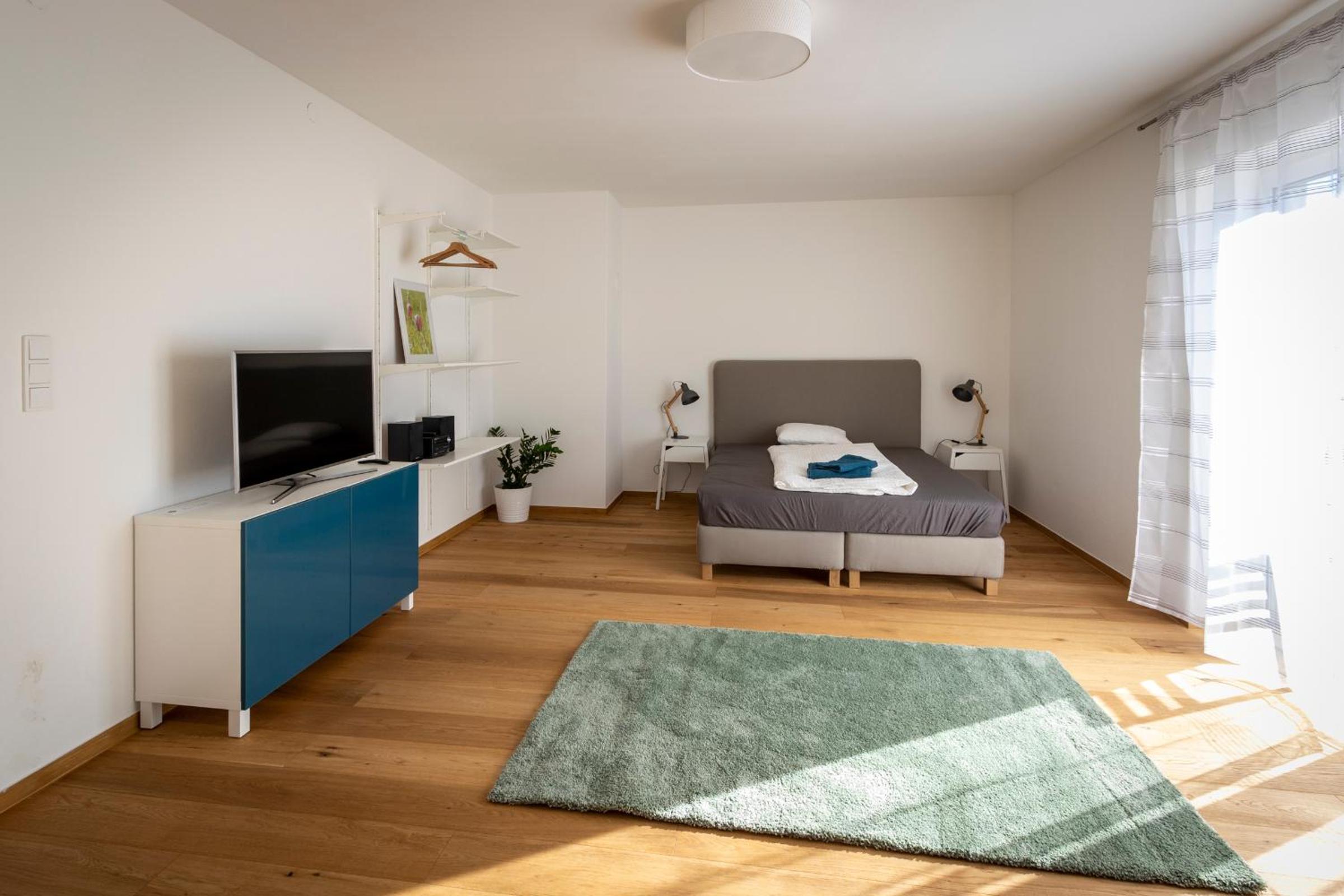 Studio Apartment photo 1