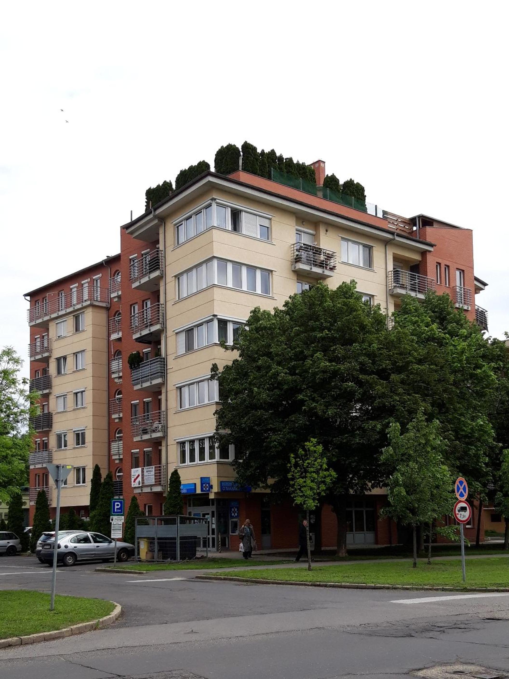 Two-Bedroom Apartment - Photo 11