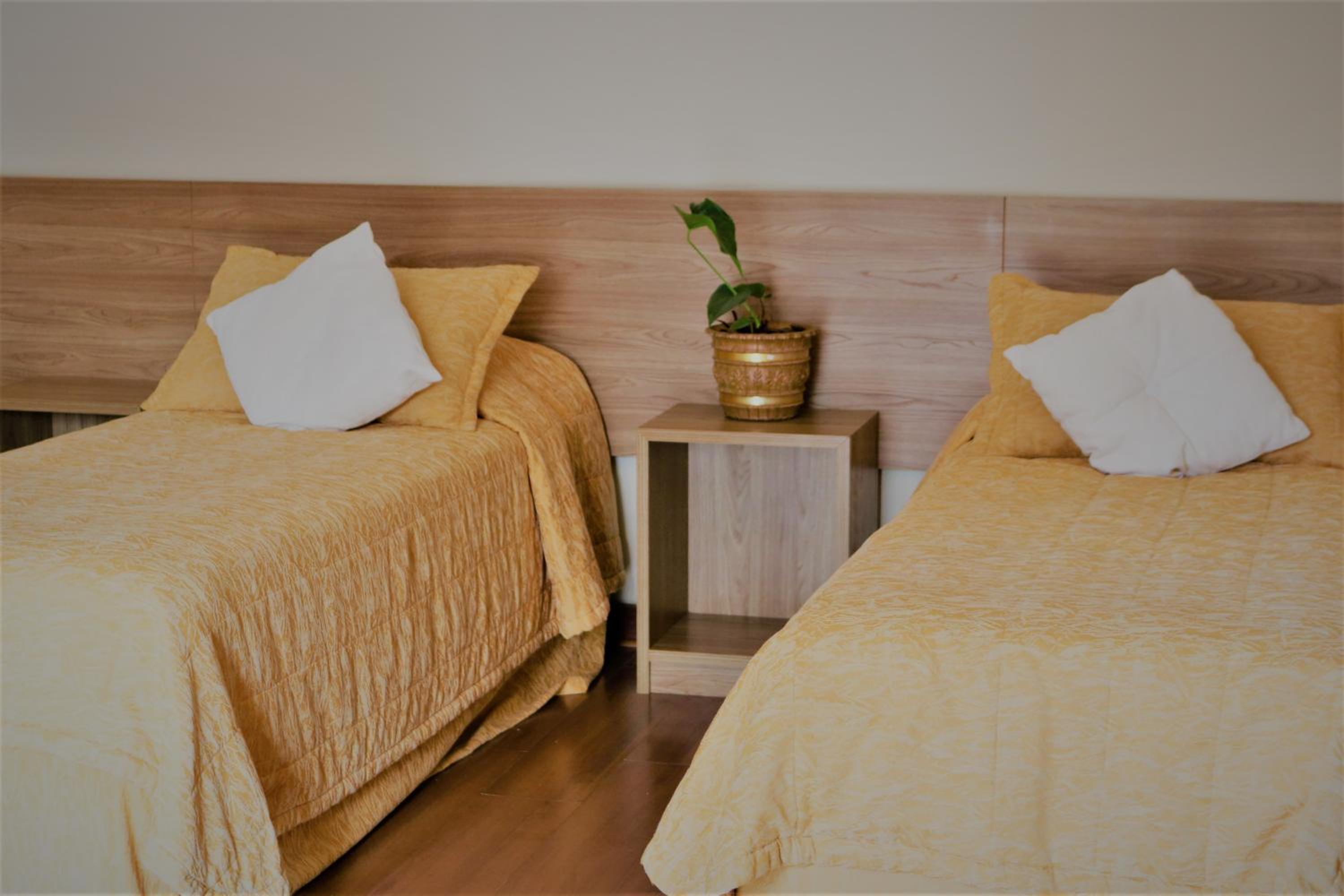 Double or Twin Room - Photo 3