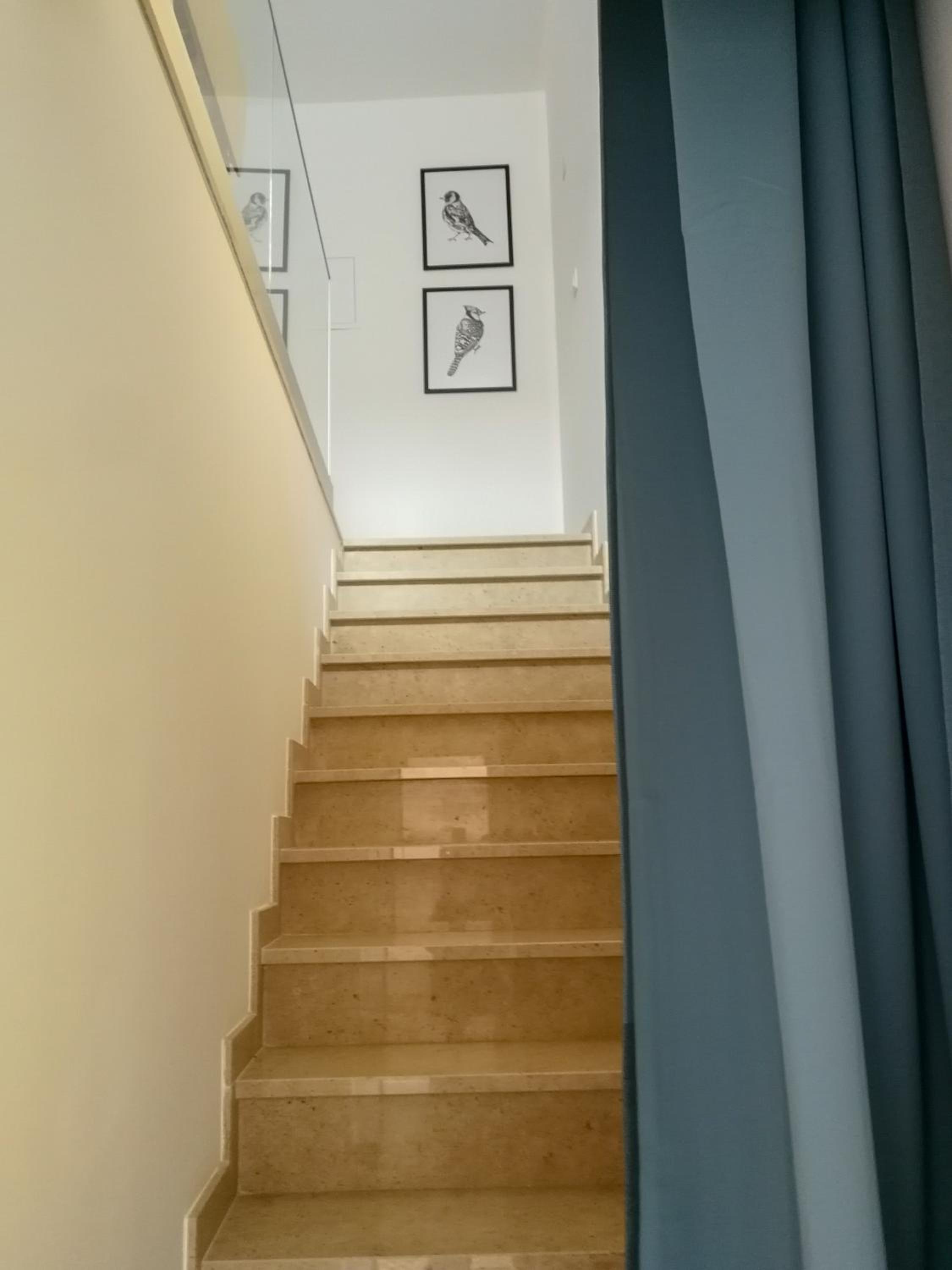 Apartment - Photo 7