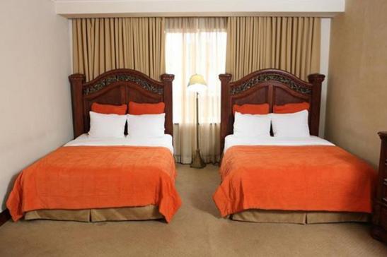 Standard Double Suite photo 2