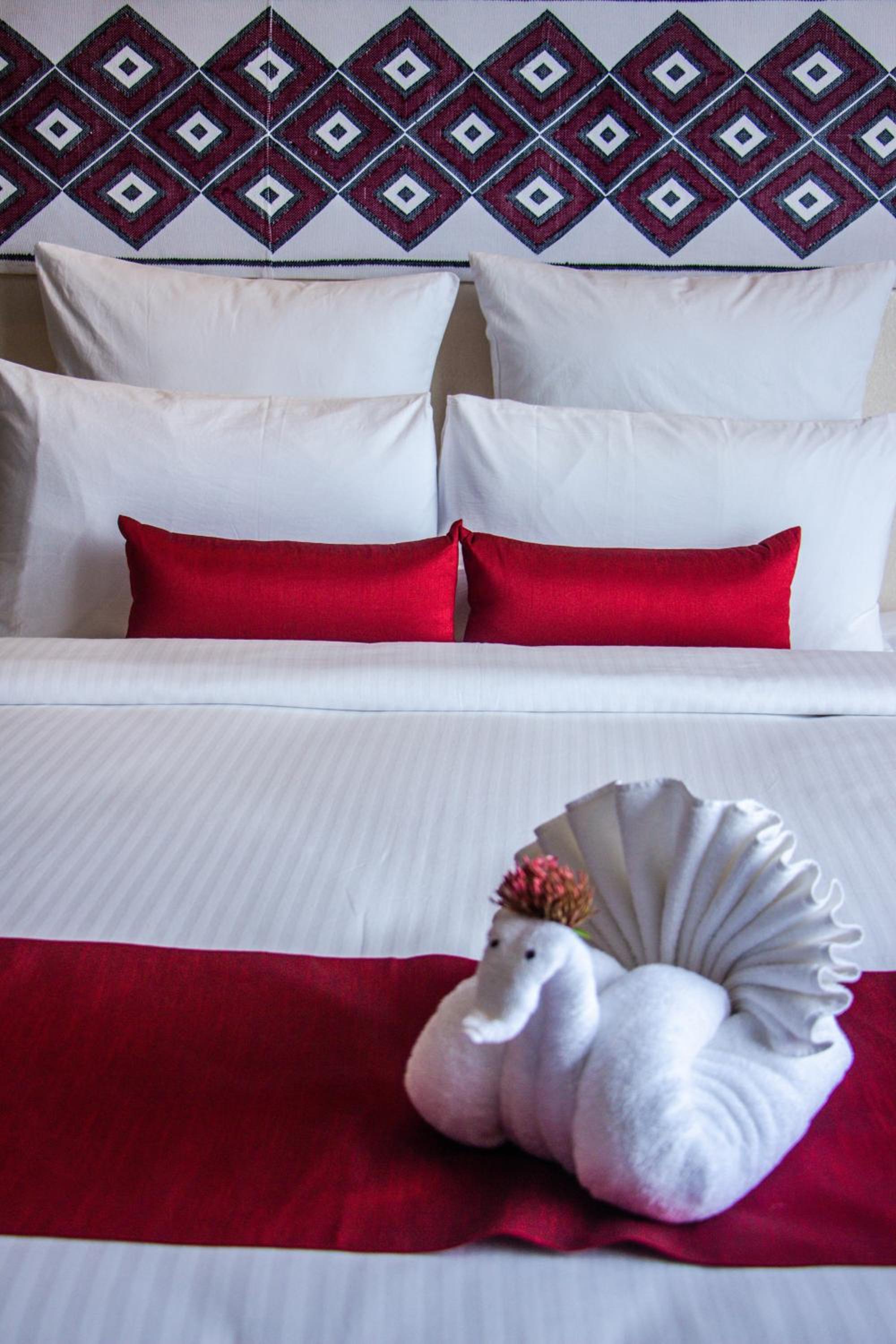 Superior Suite photo 2