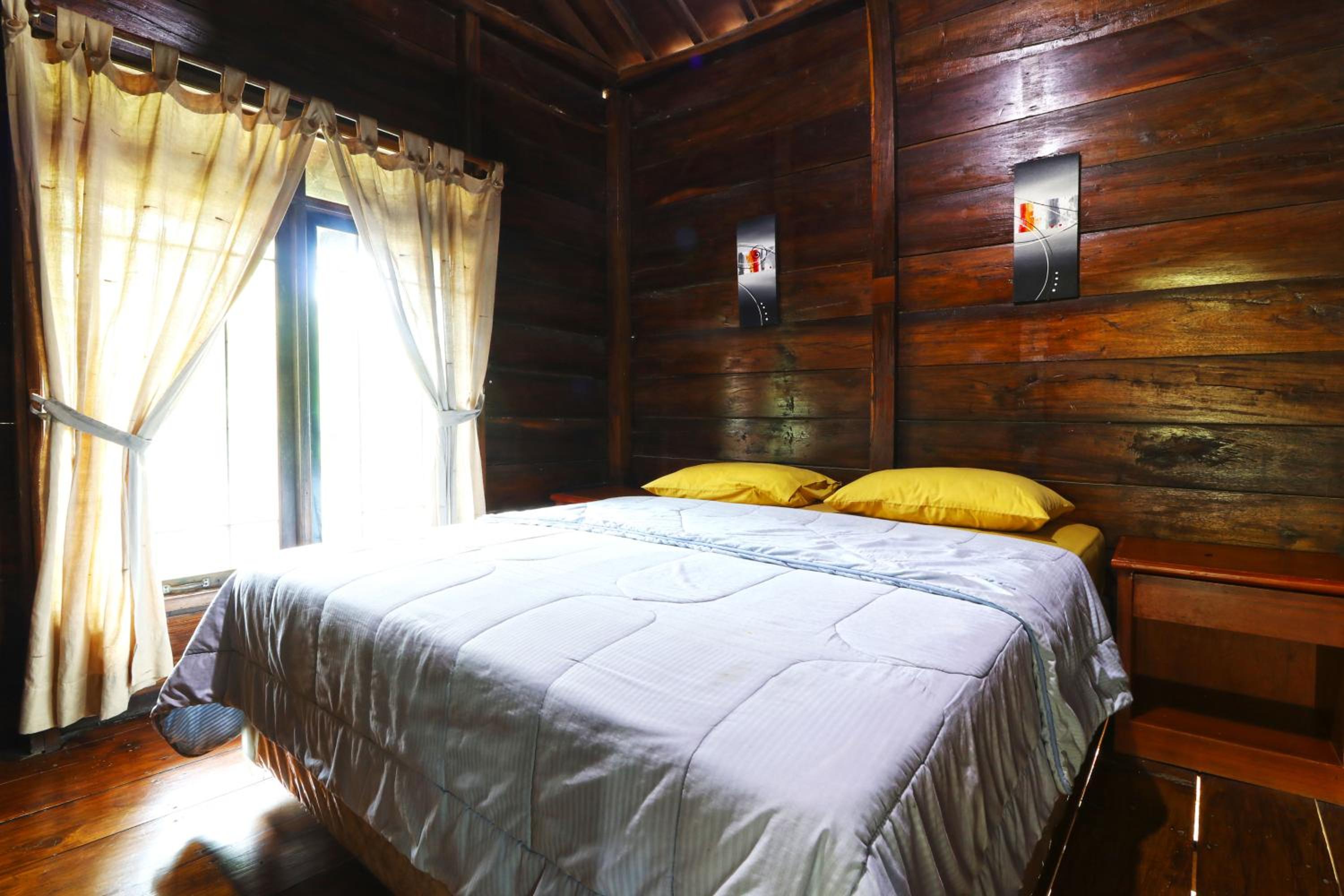 Executive Suite photo 1