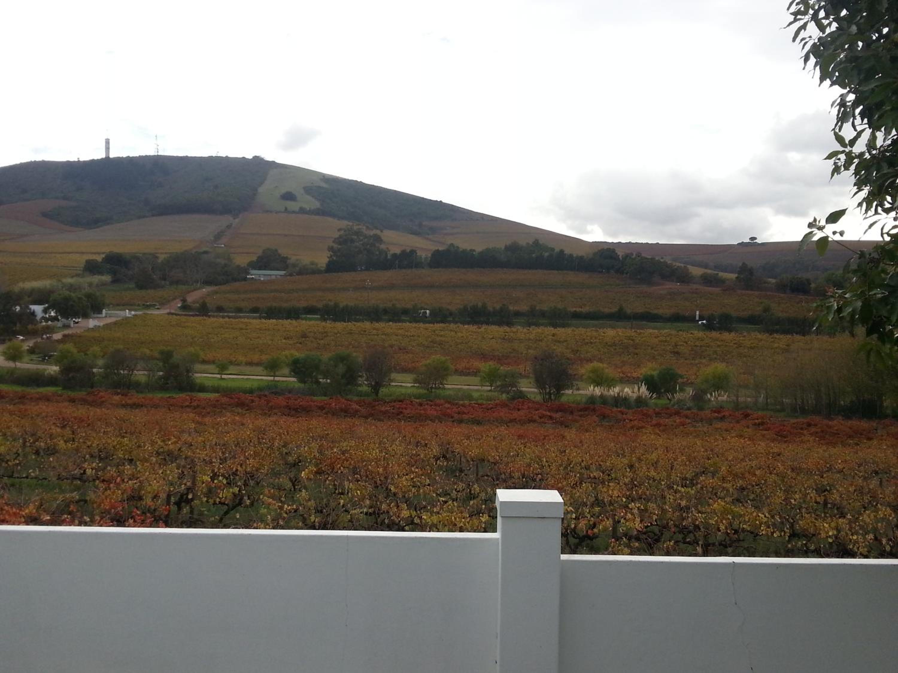 Vacation Home - Photo 11