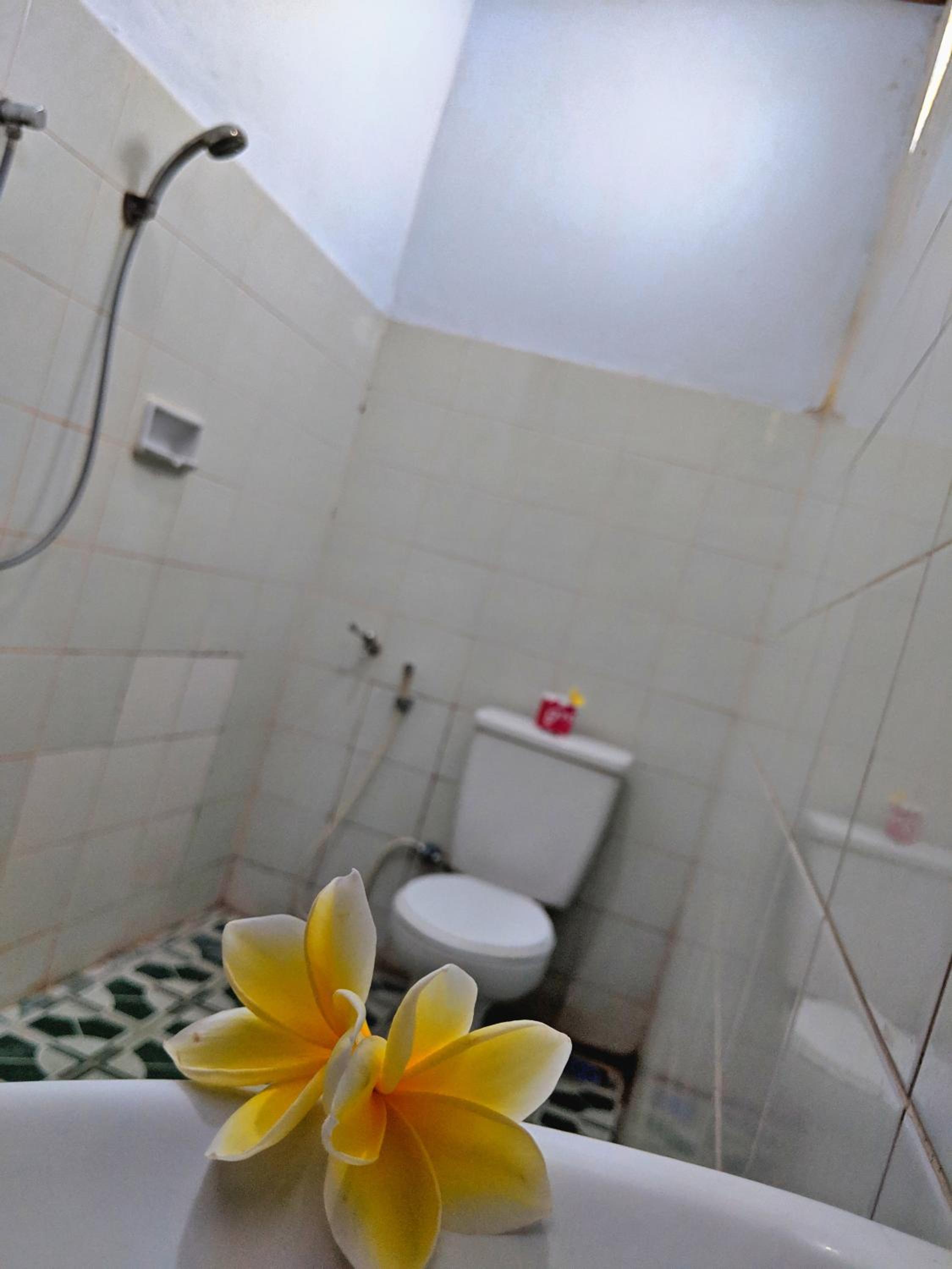 Standard Double or Twin Room with Fan photo 2