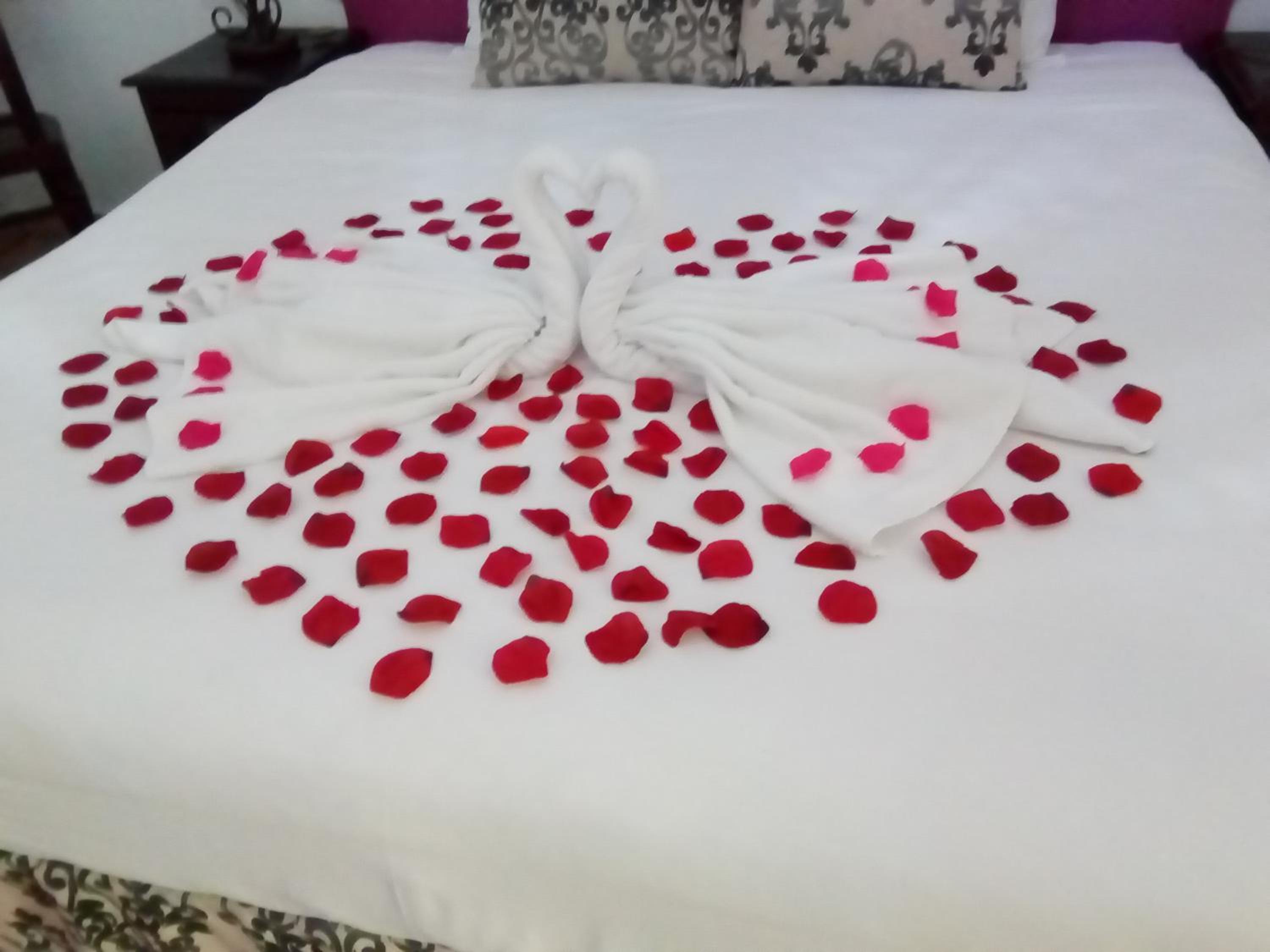 Superior Double Room photo 2