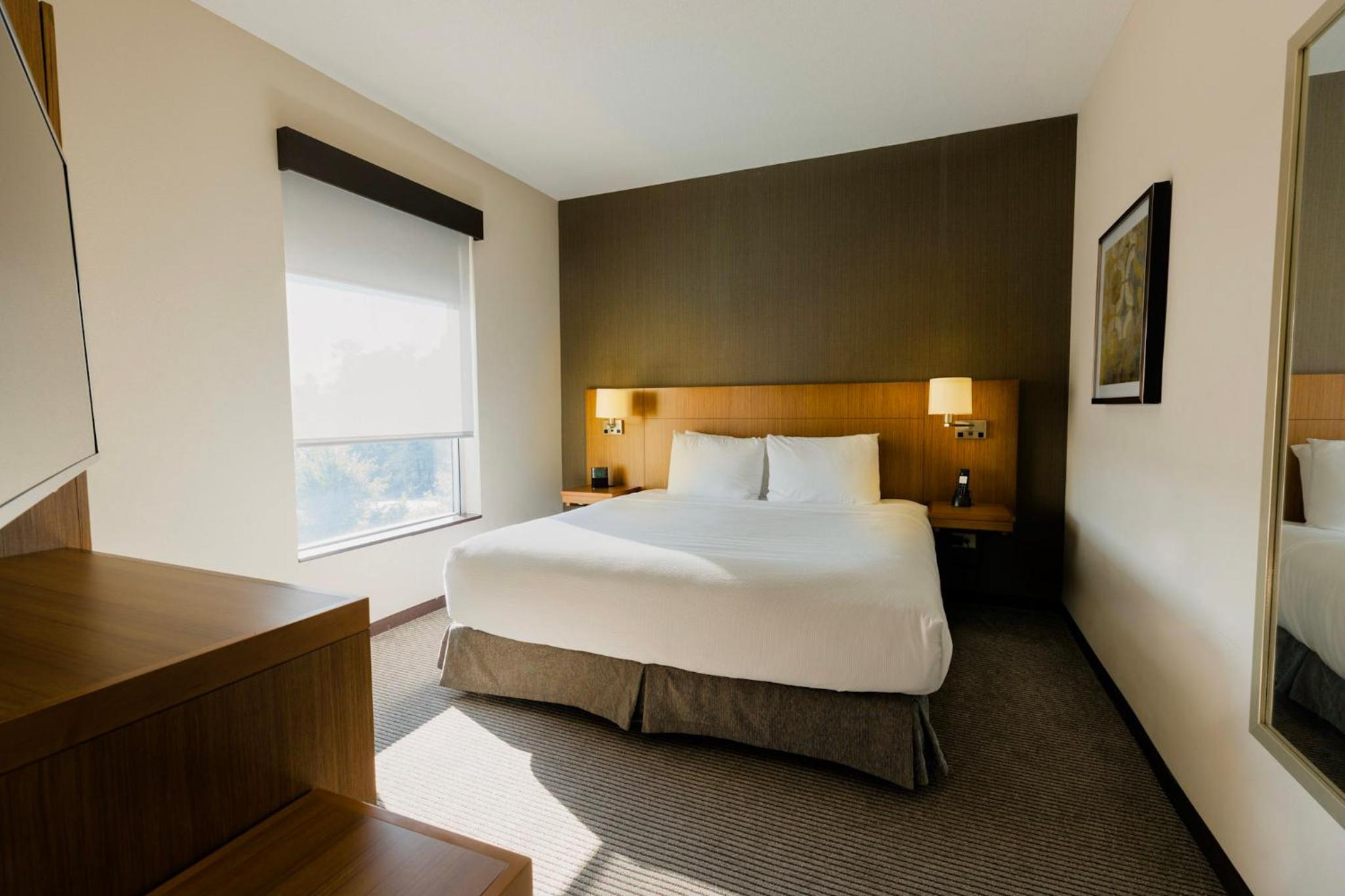 King Suite with Accessible Shower - Disability Access