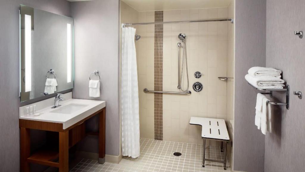 Accessible One Bedroom King Suite/Roll-In Shower (With Sofa Bed)