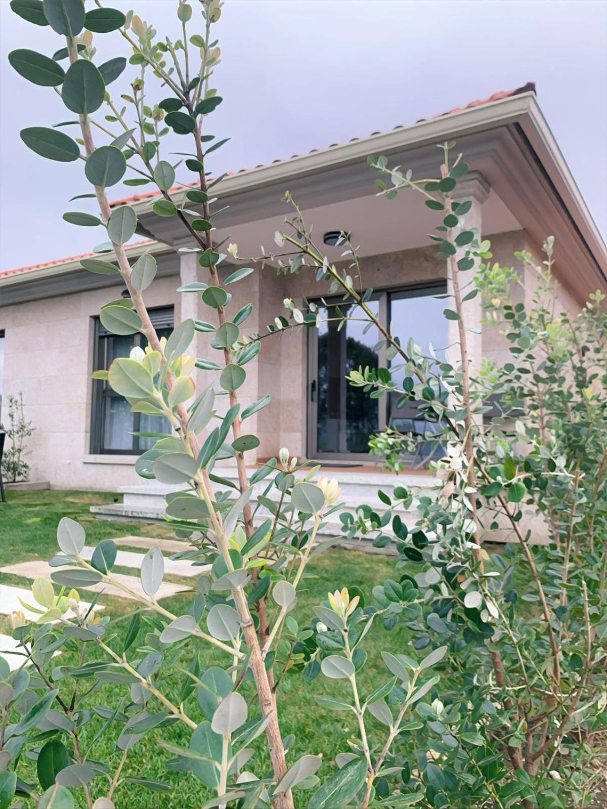 Two-Bedroom House photo 3