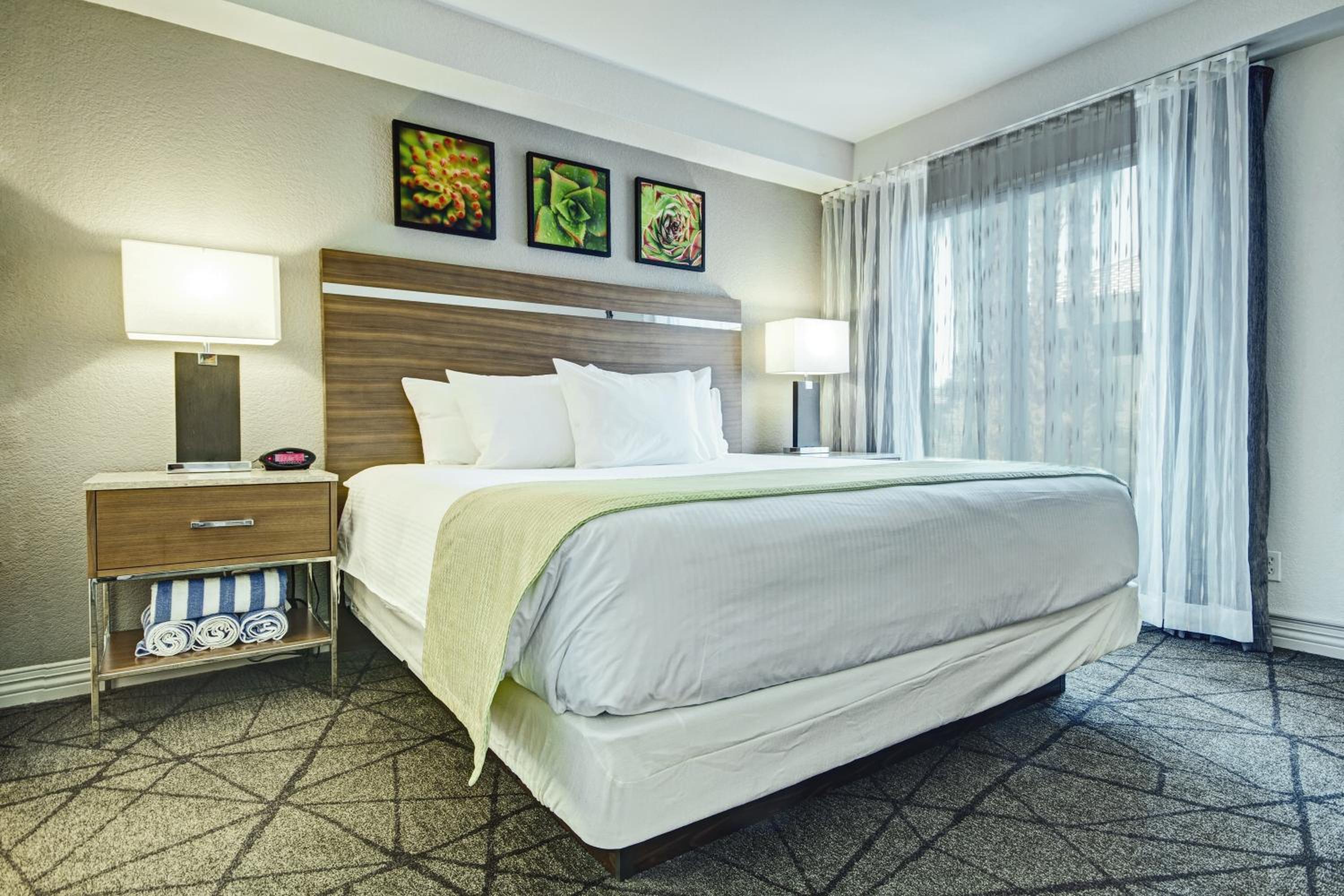 One-Bedroom Suite (No Resort Fees) thumbnail 6