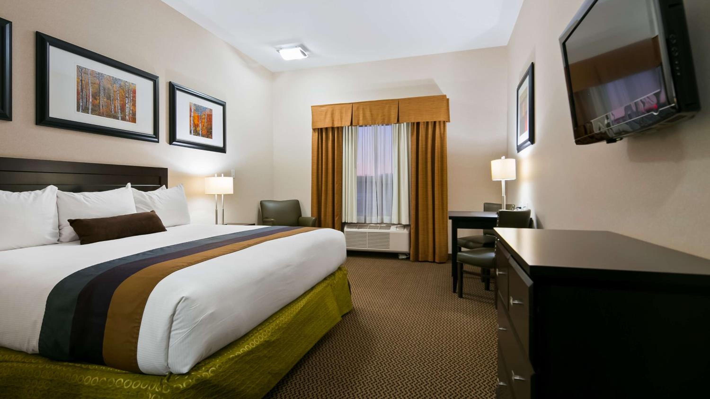 King Room with Roll-In Shower - Disability Access