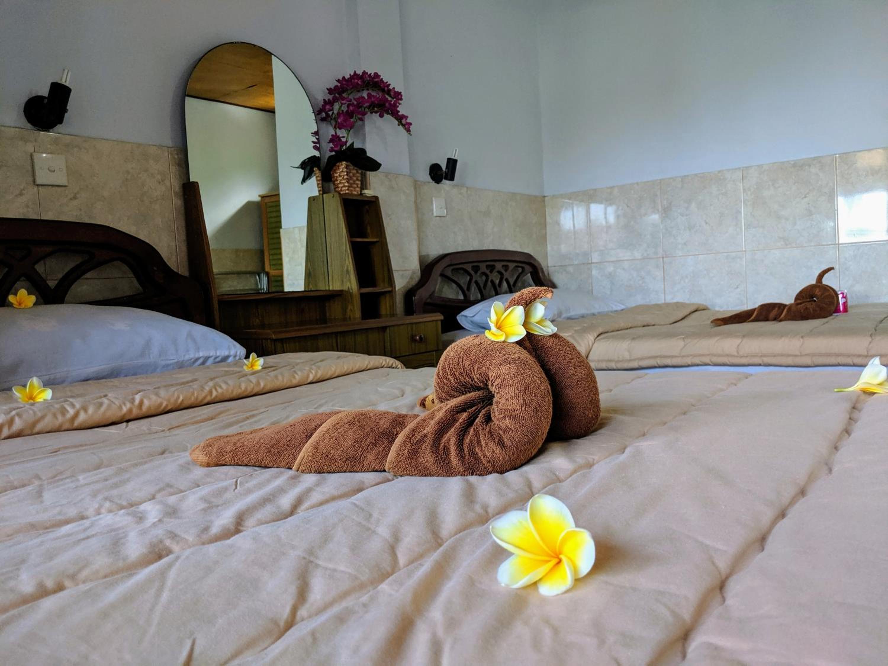 Deluxe Twin Room photo 2