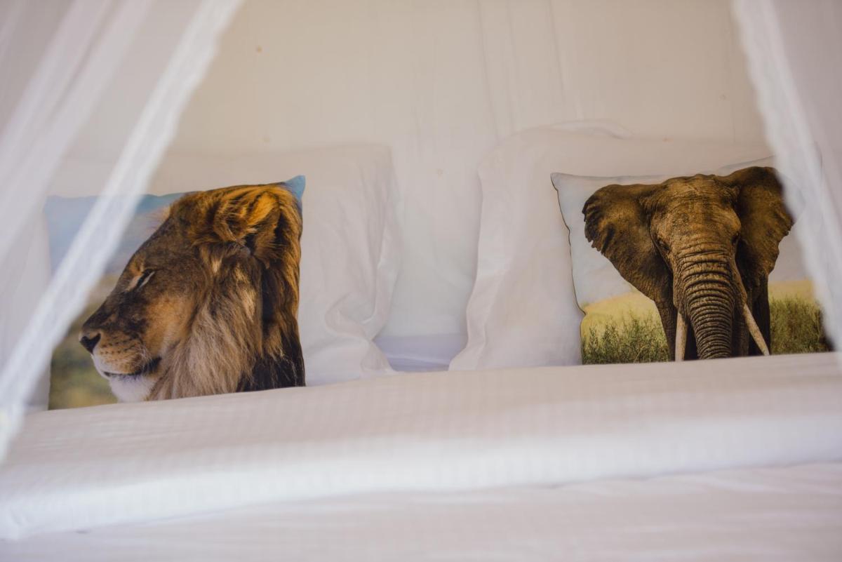 Tent photo 1