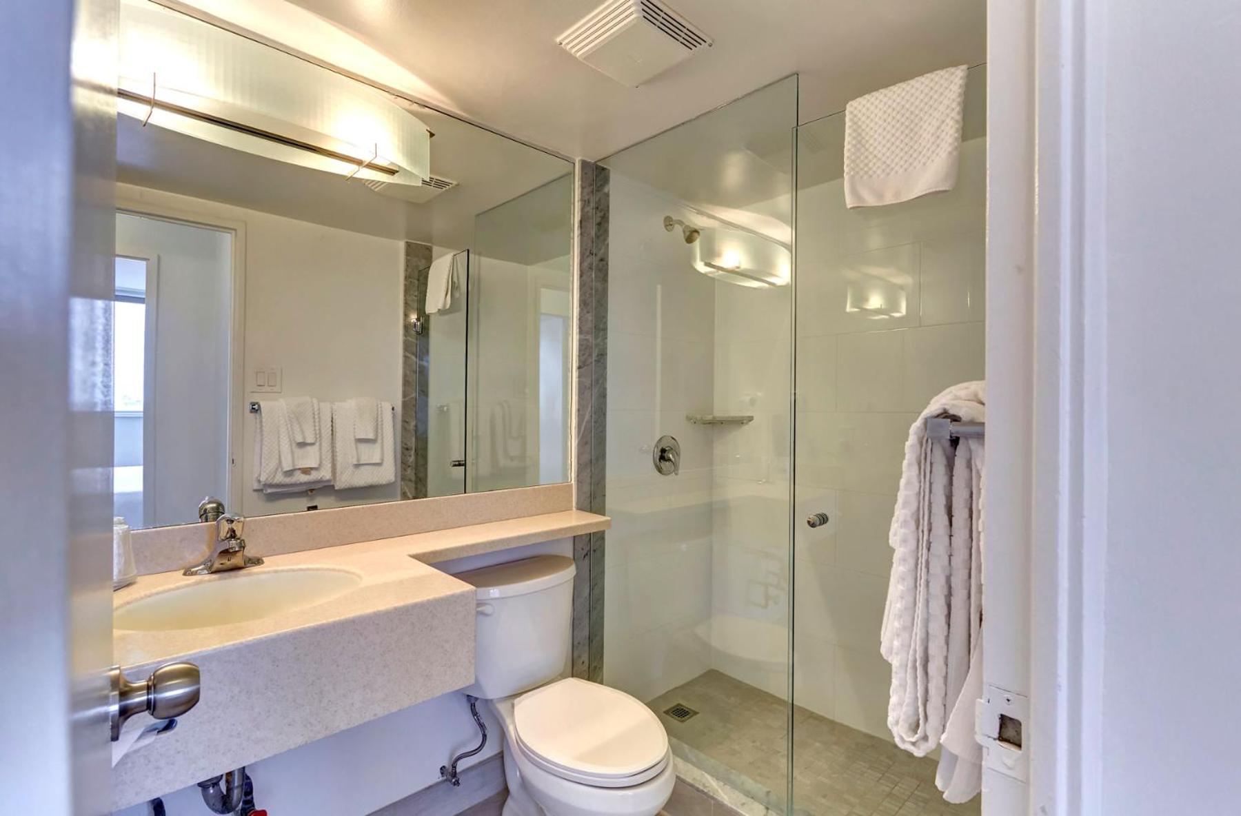 Deluxe King Suite - Photo 7