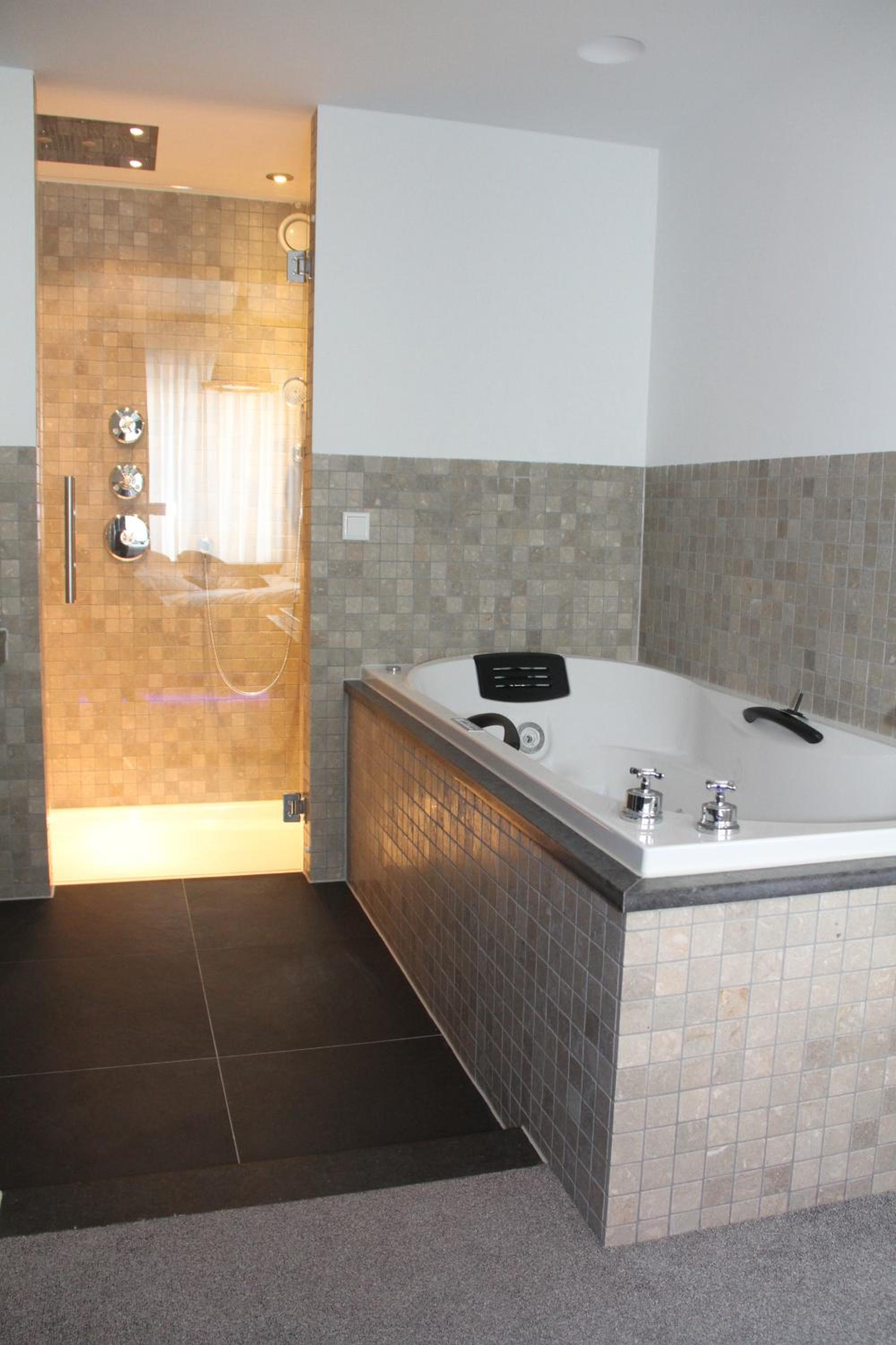 Luxury Suite - Photo 9