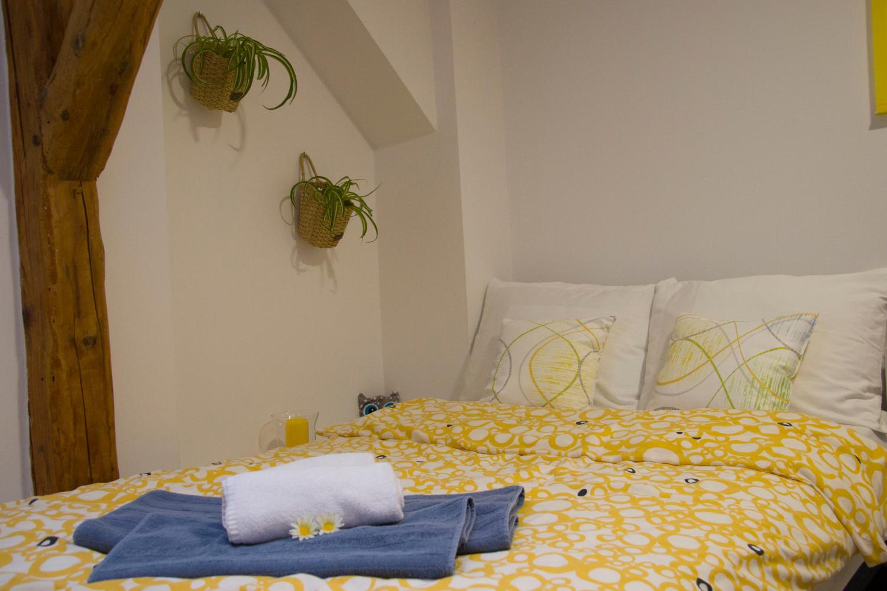 Studio Apartment photo 1