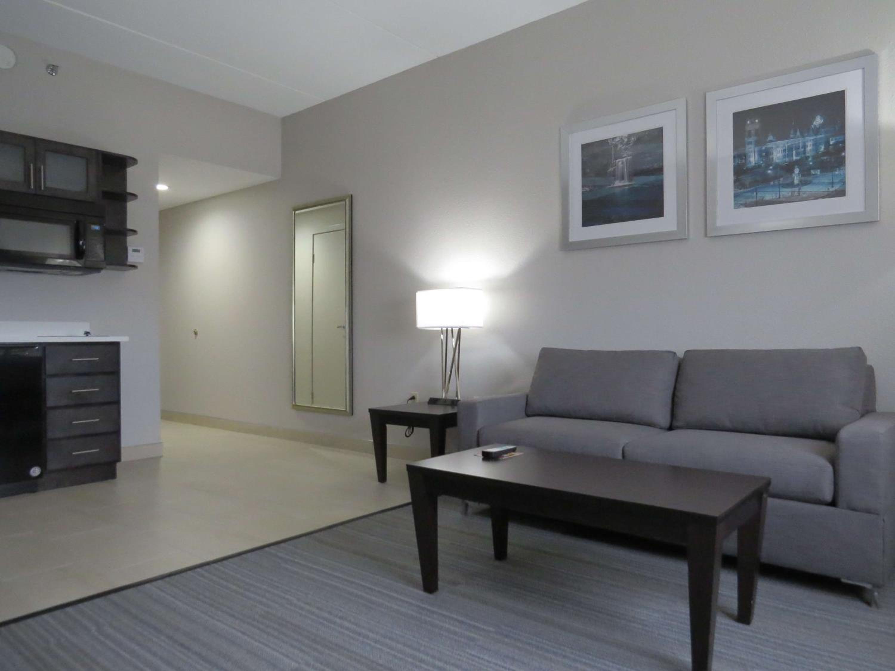 King Suite with Kitchenette - Photo 8