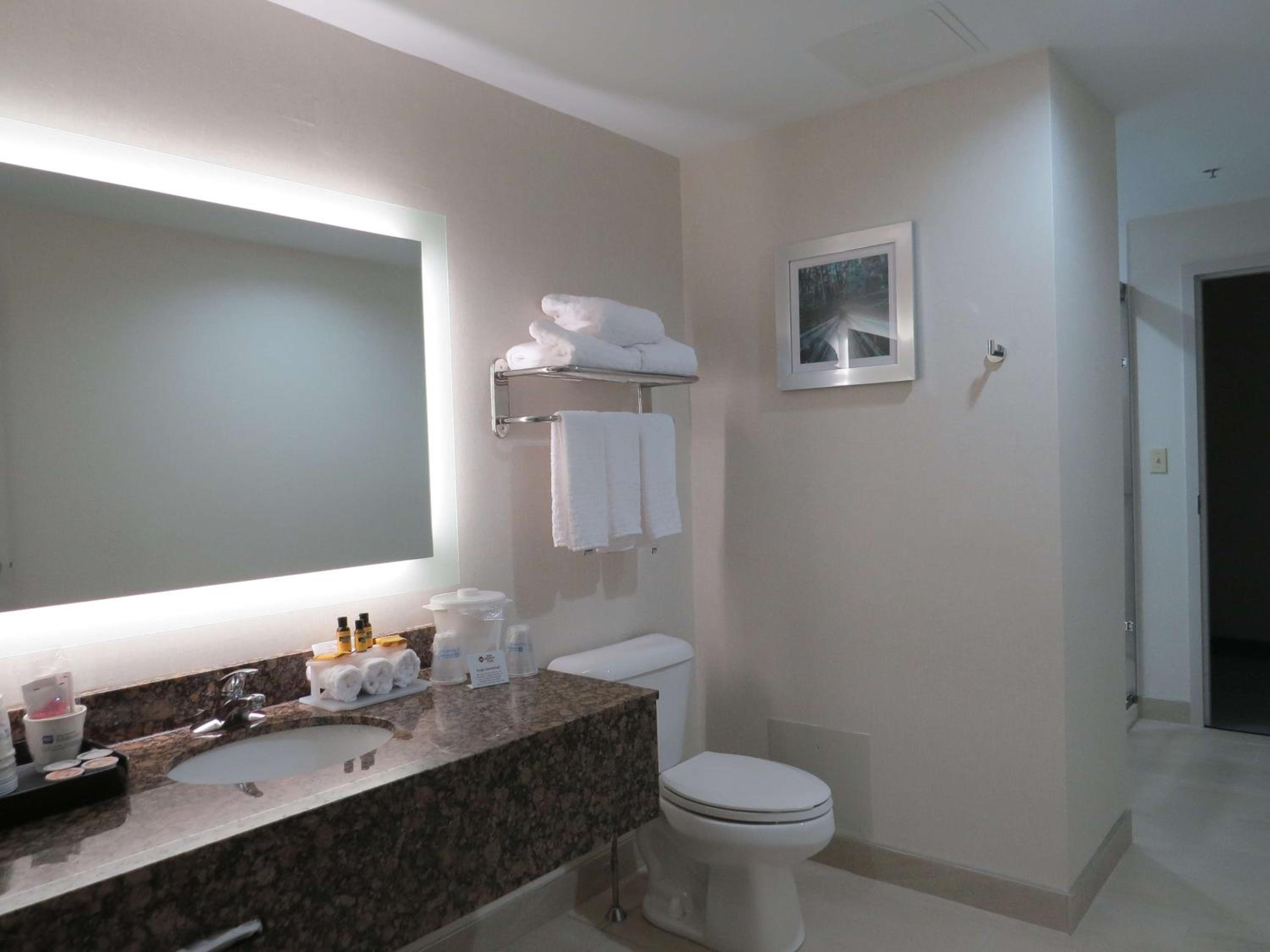 King Suite with Kitchenette - Photo 6