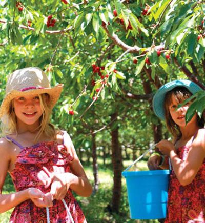 One-Bedroom Apartment - Penthouse  - Photo 103