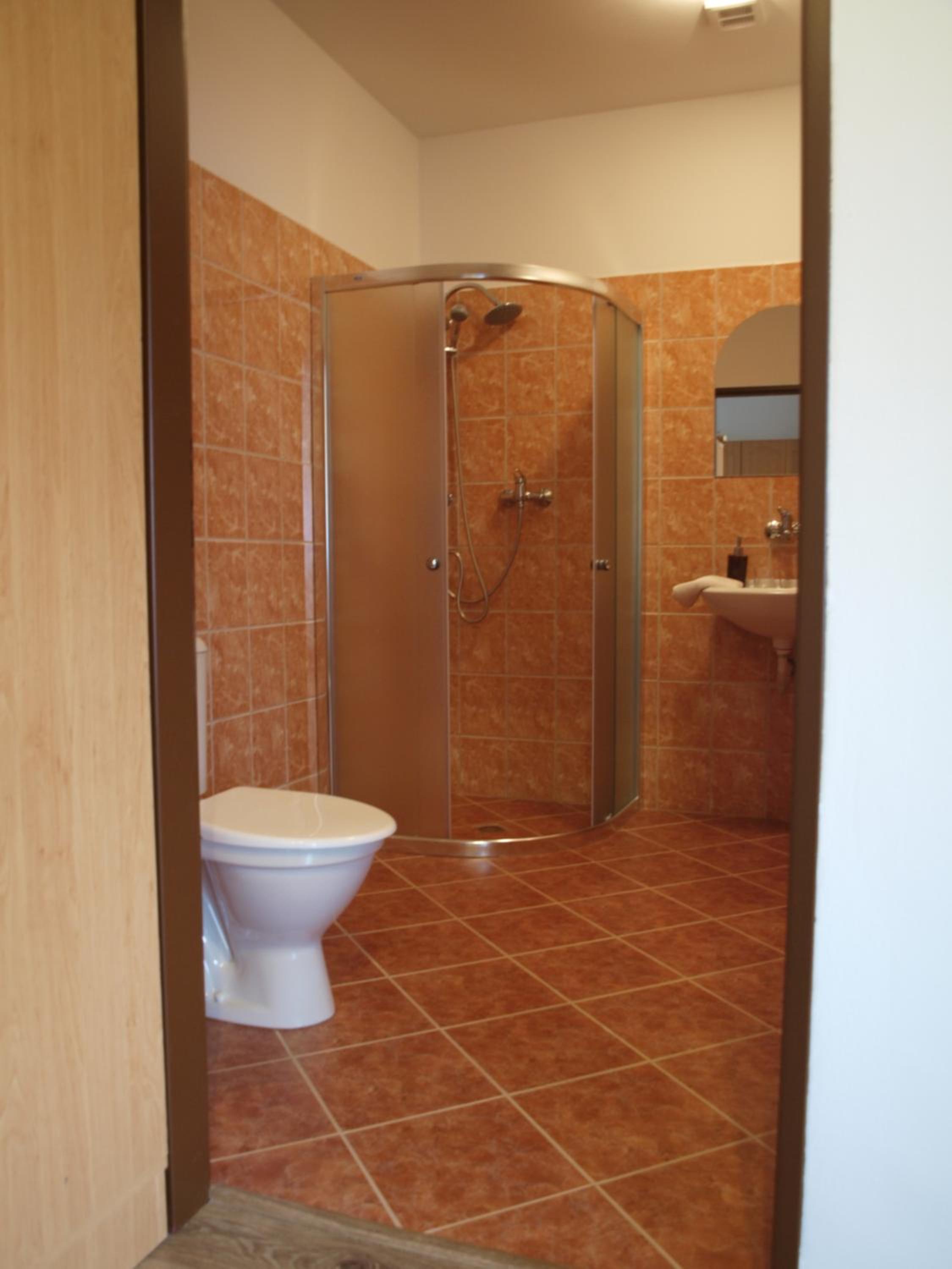 Apartment with Shower photo 3