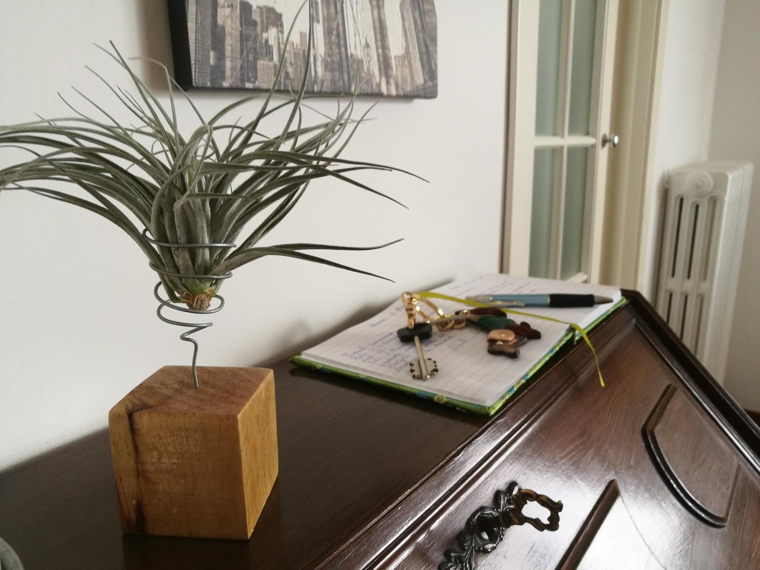 Apartment photo 2