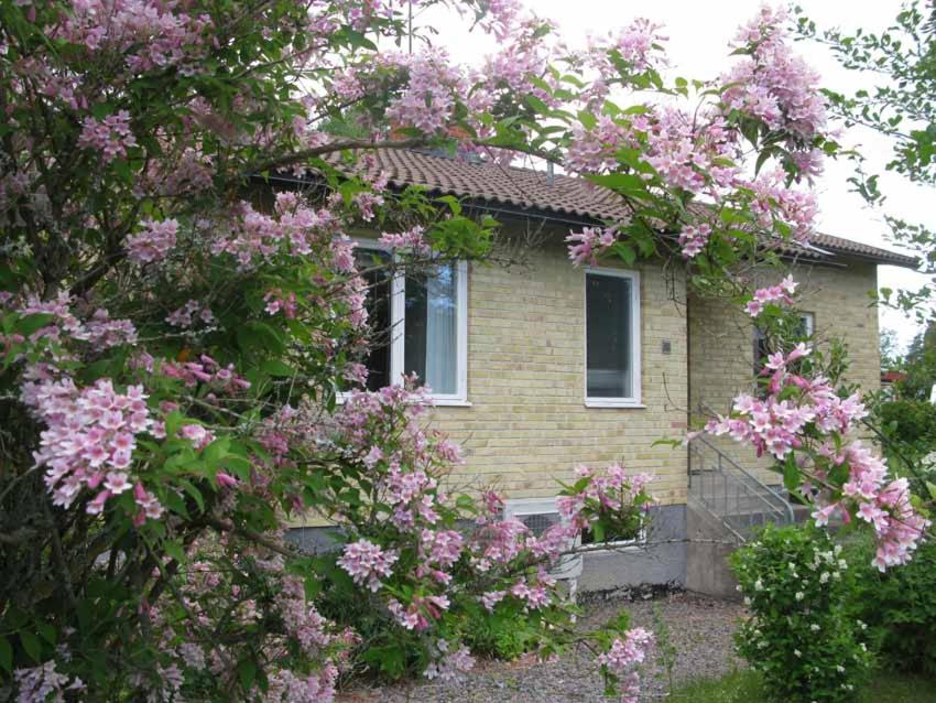 Villa - Photo 4