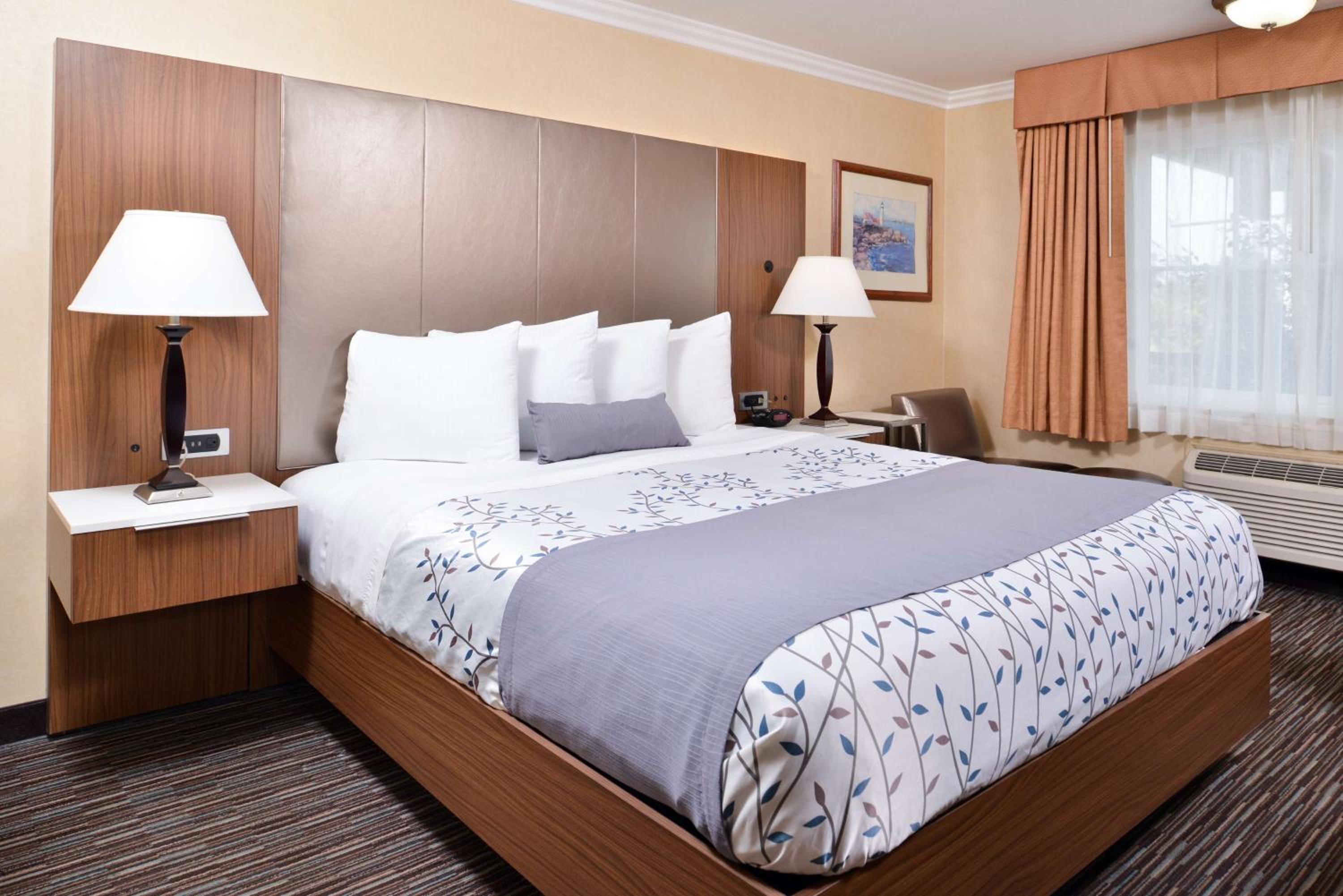 King Room - Non-Smoking - Photo 10