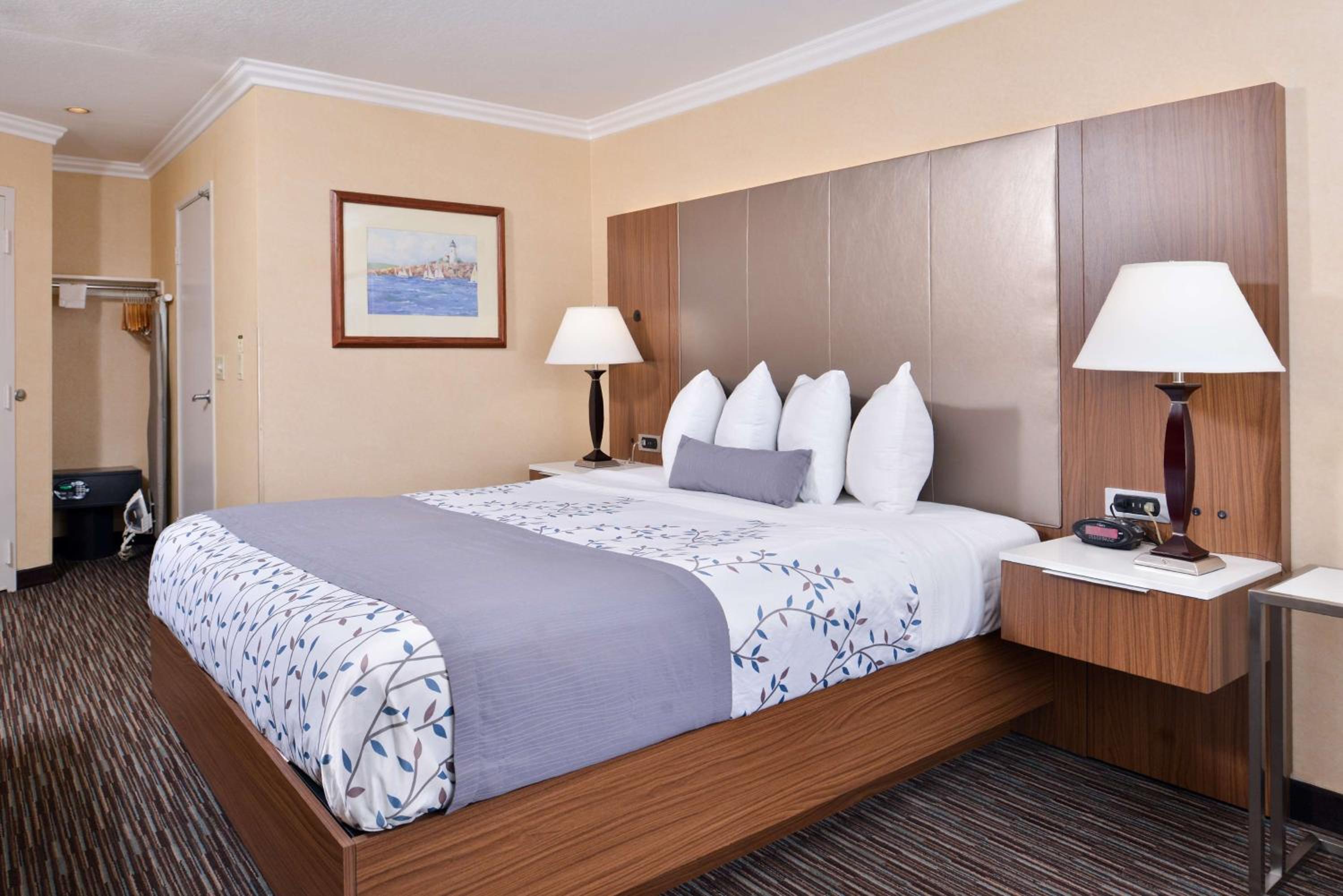 King Room - Non-Smoking - Photo 1