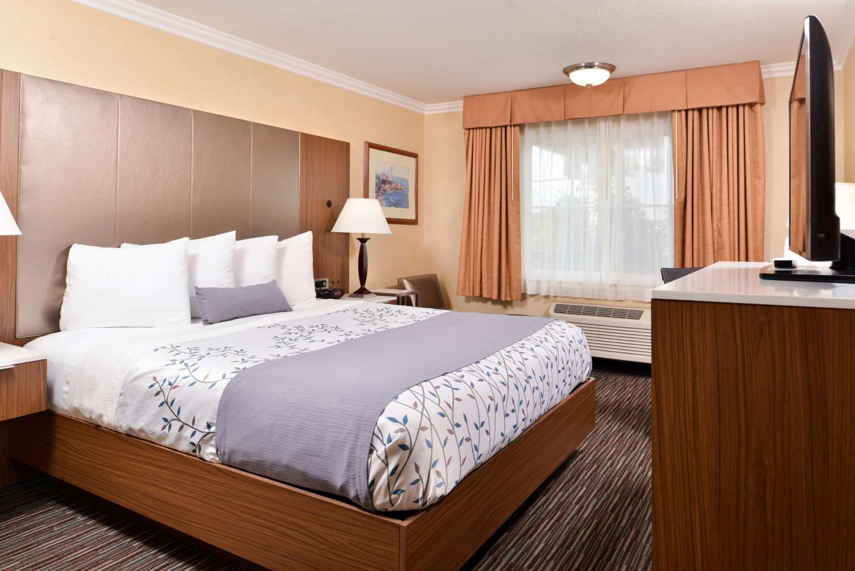 King Room - Non-Smoking - Photo 5