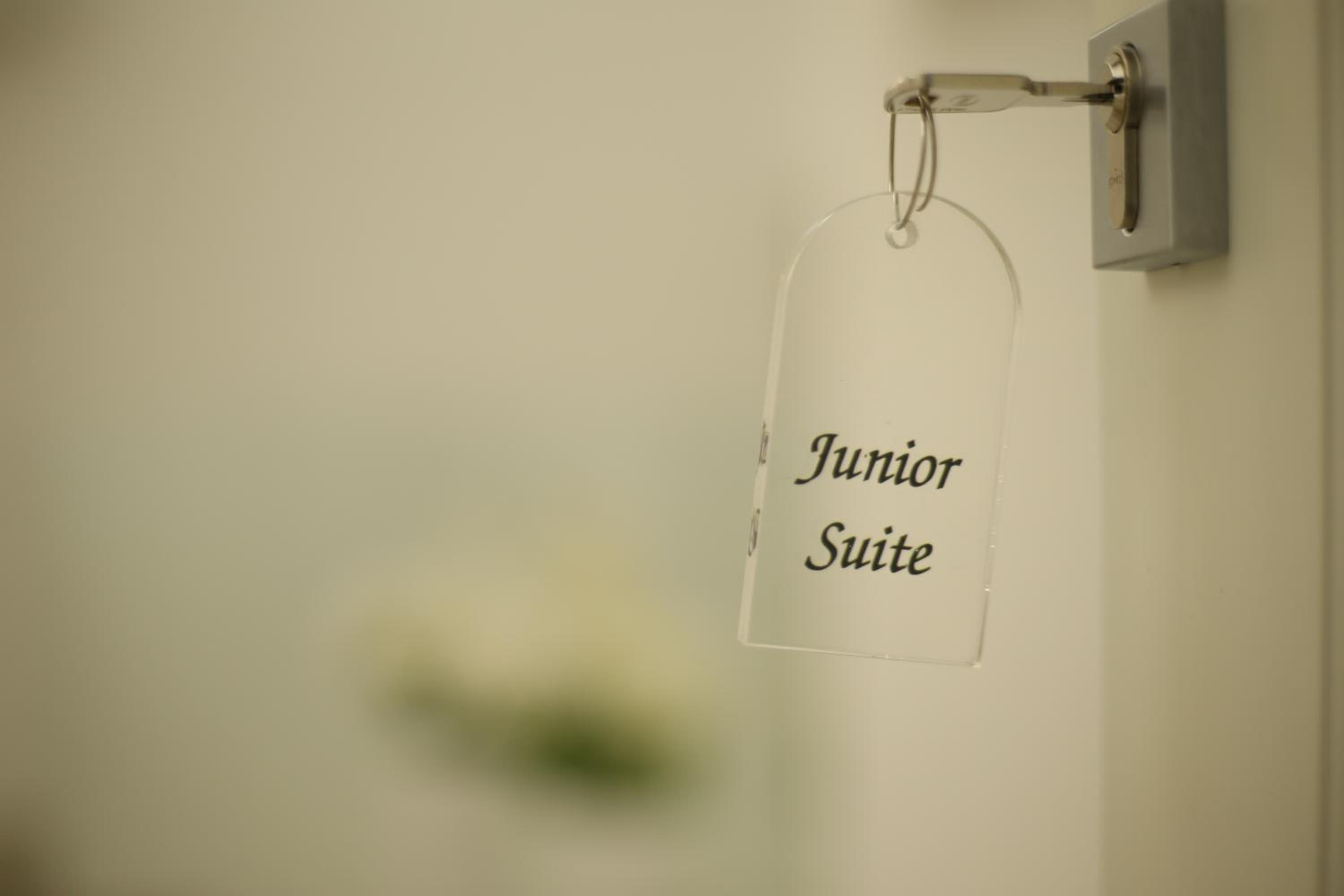 Junior Suite - Photo 23