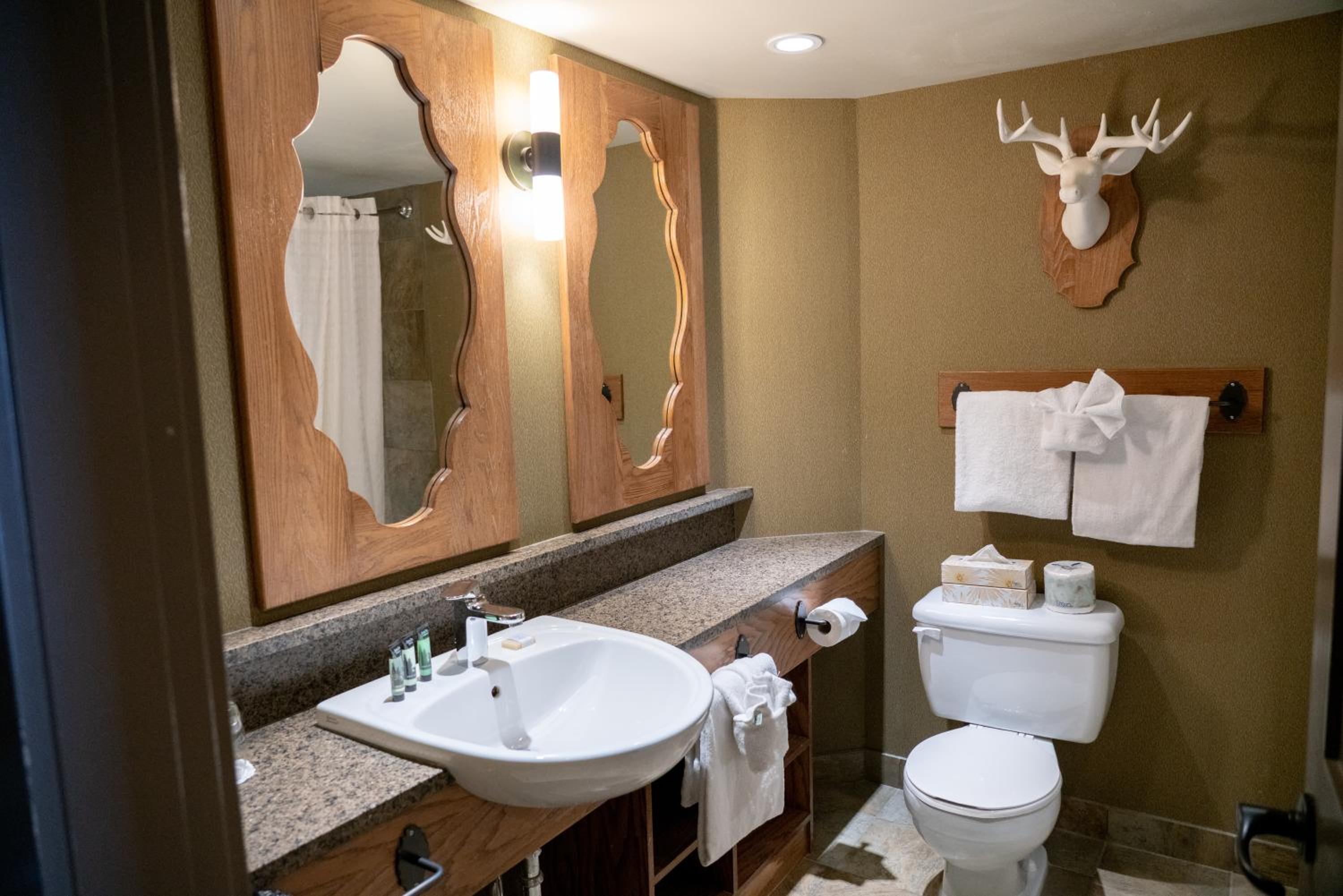 Superior Two Queen Room - Photo 6