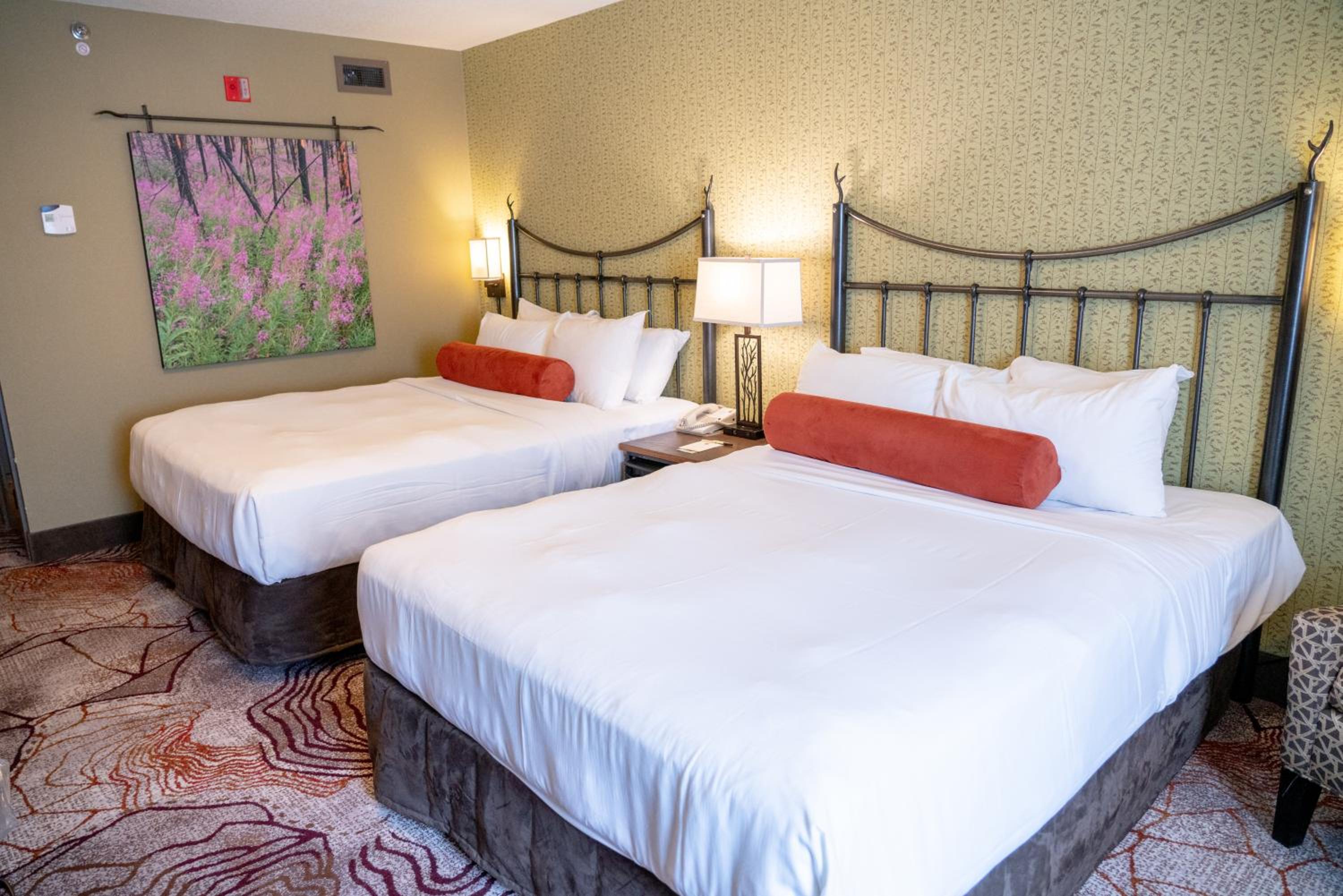 Superior Two Queen Room - Photo 4