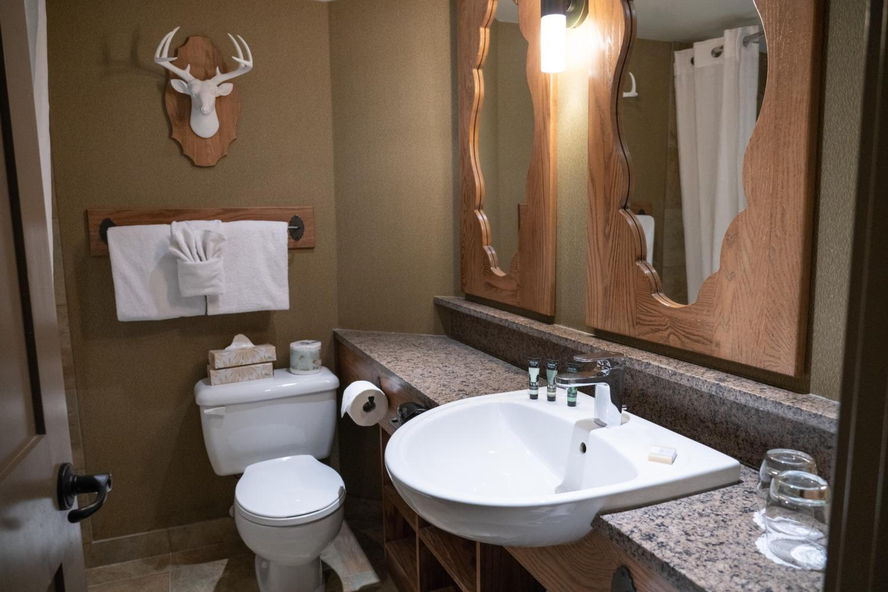 Standard Double Room - Photo 6