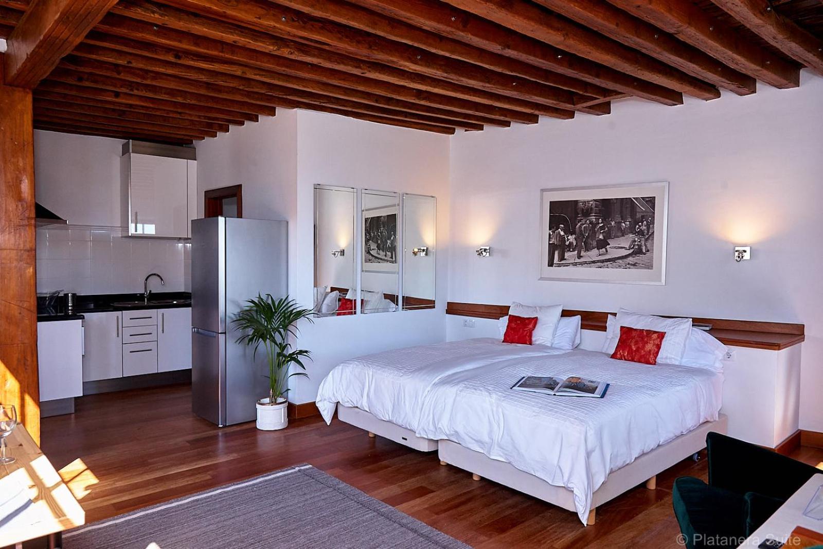 Apartamento de una habitación